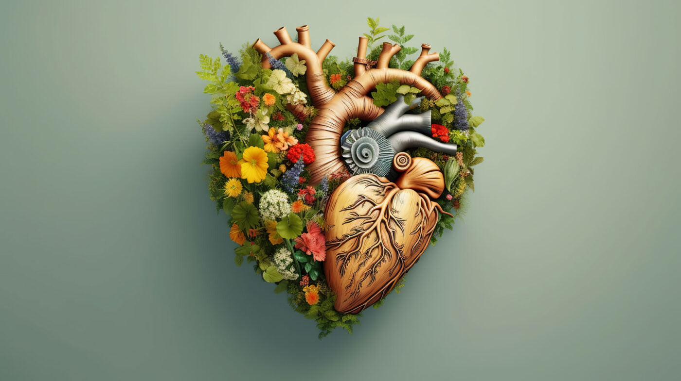 Natural and Ayurvedic approaches for Cardiovascular Health: Diet and Exercise Tips for a Stronger Heart 2023