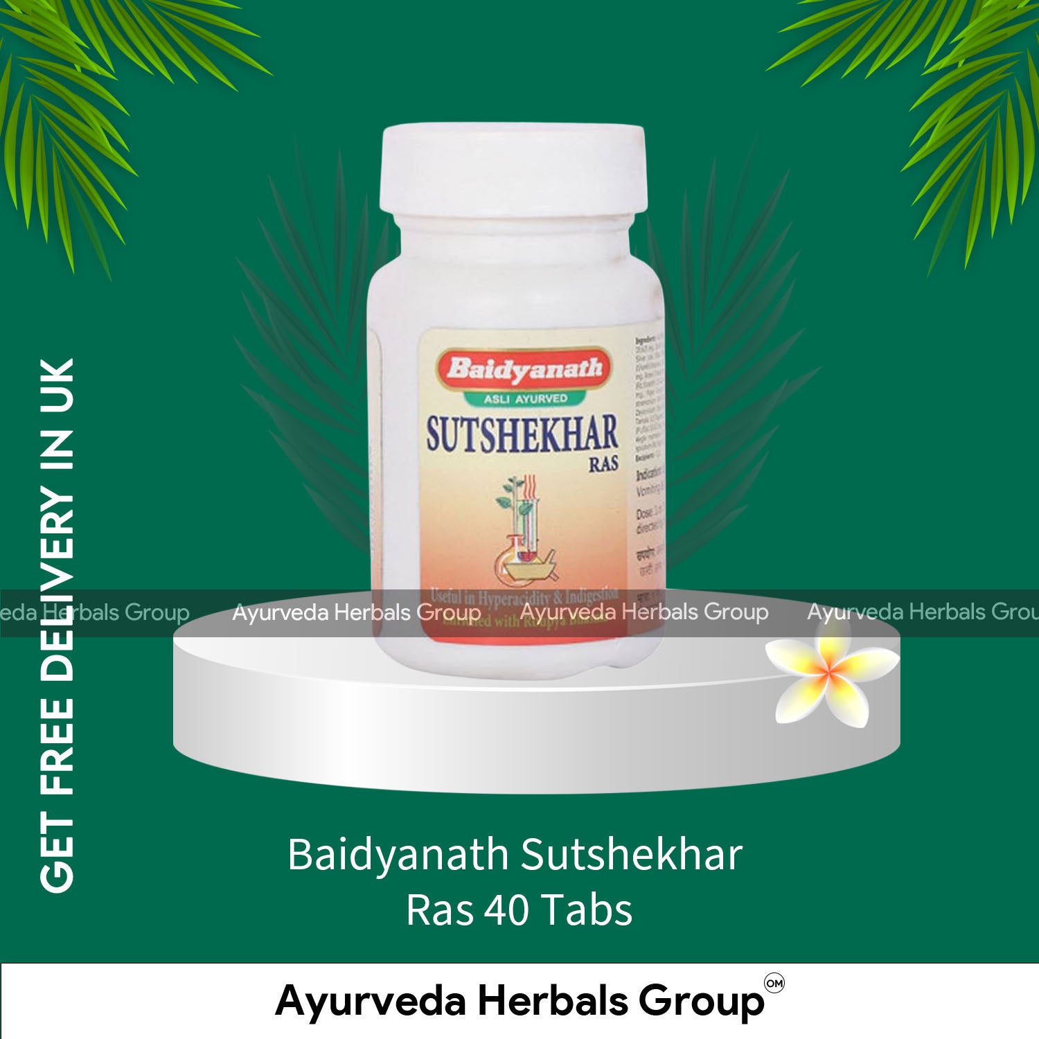Baidyanath Sutshekhar Ras 40 Tabs