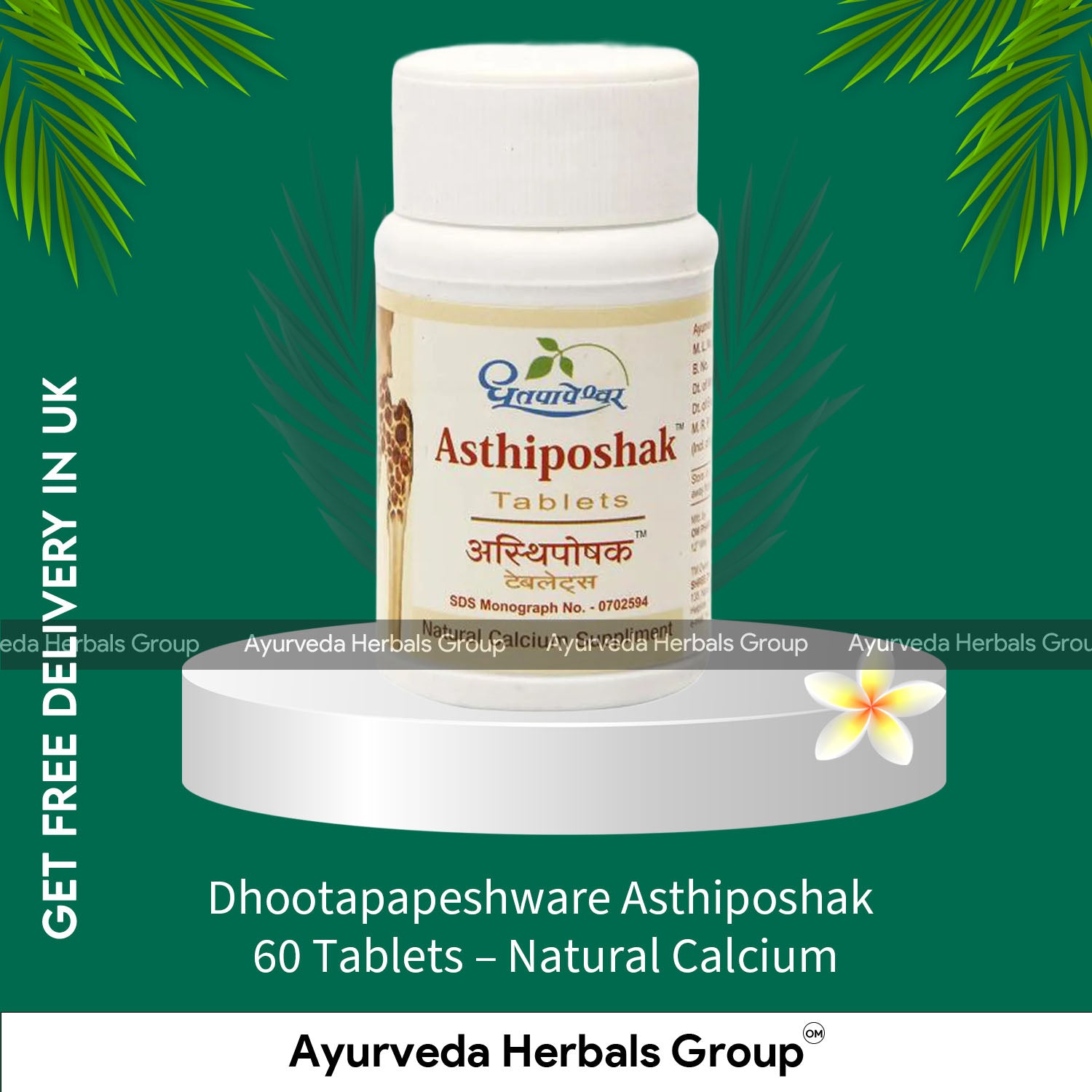 Dhootapapeshware Asthiposhak 60 Tablets - Natural Calcium