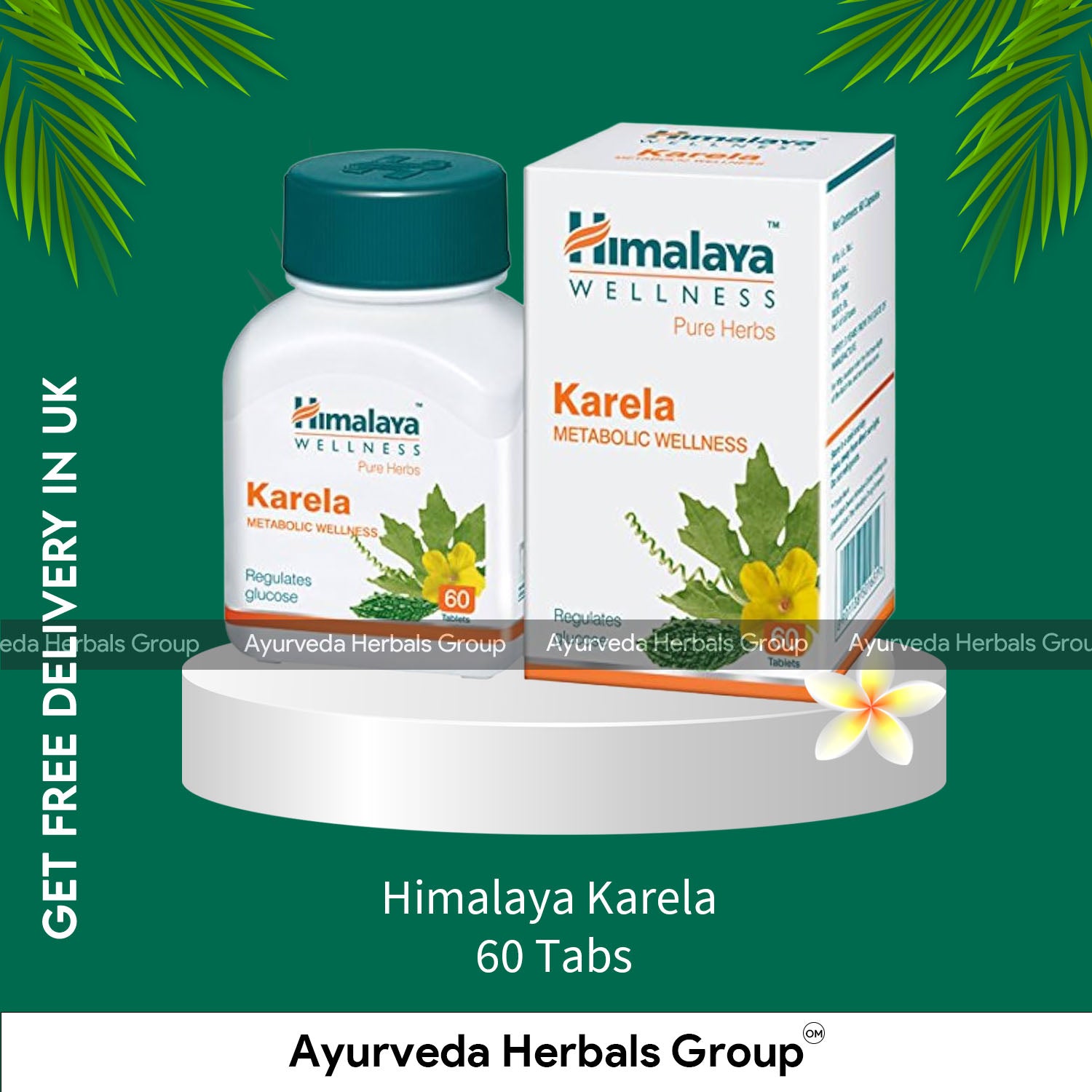 Himalaya Karela 60 Tabs