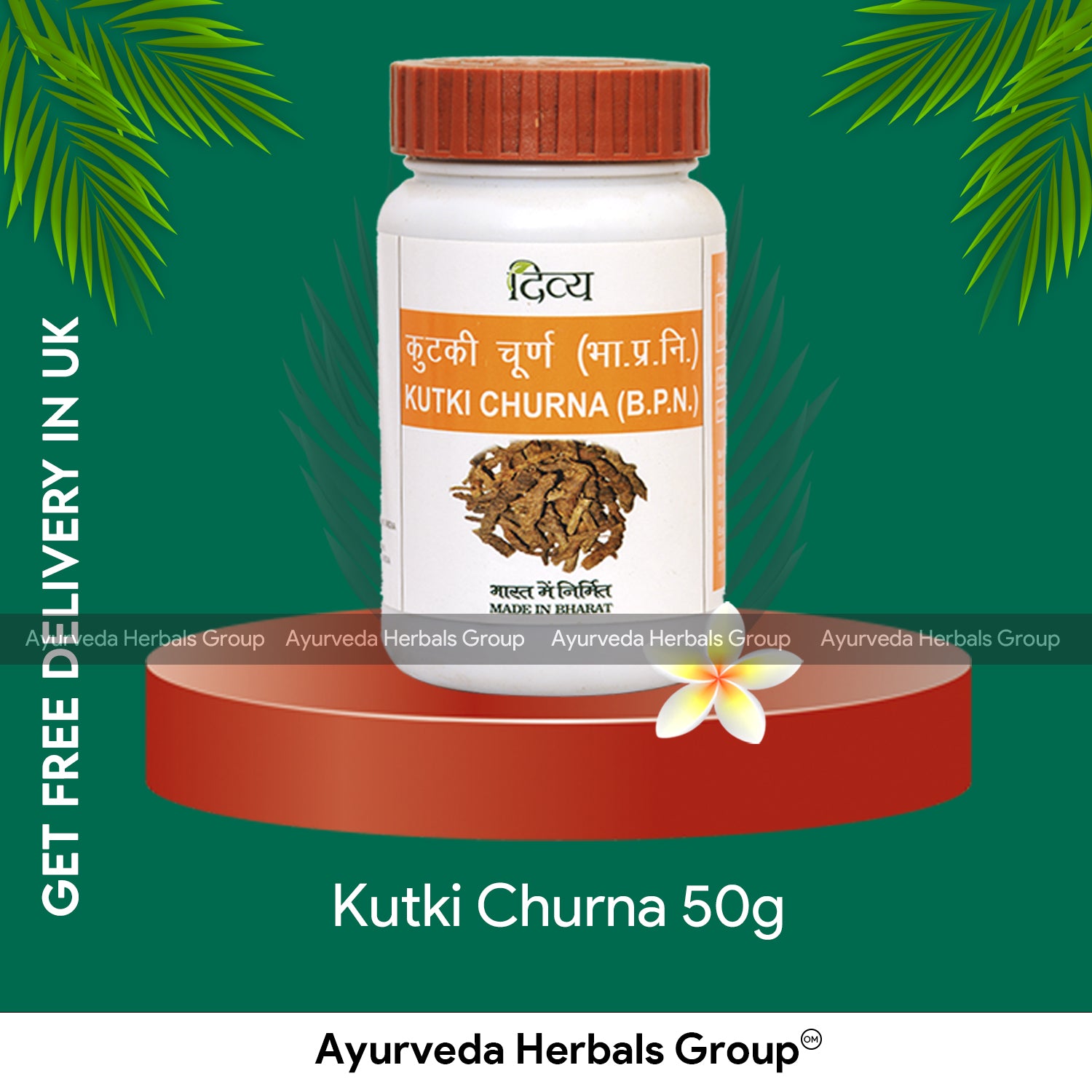 Patanjali Kutki Churna 50g