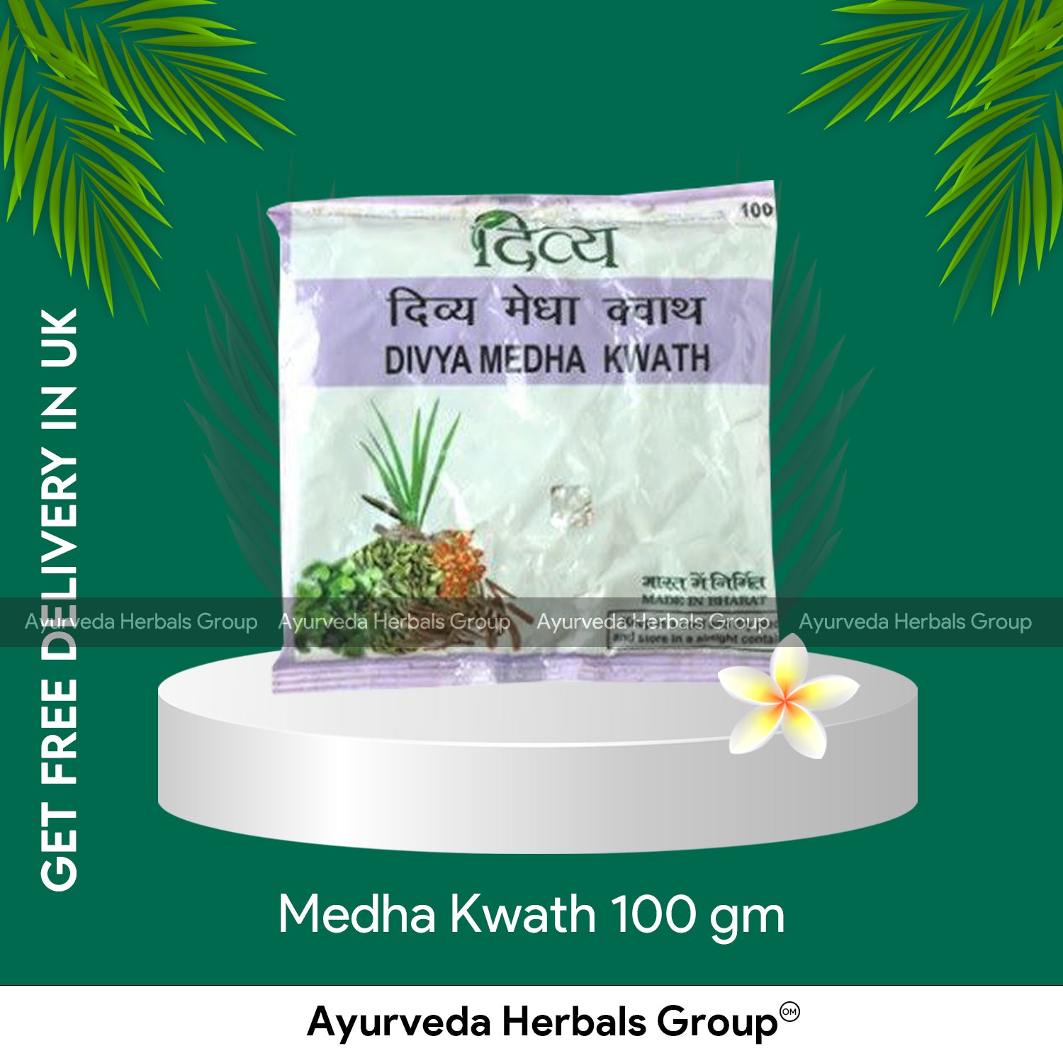 Patanjali Medha Kwath 100 gm