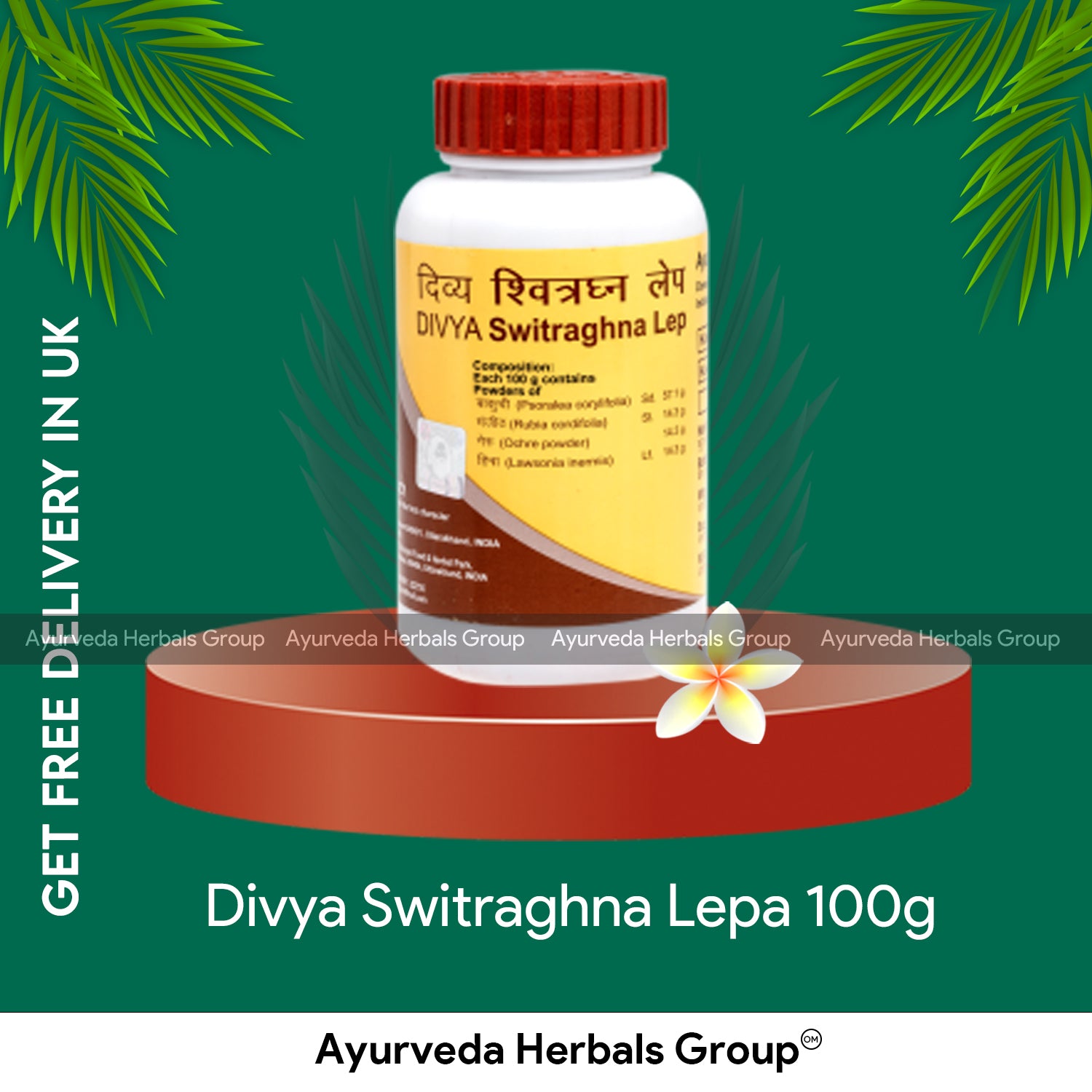 Patanjali Divya Switraghna Lepa 100g