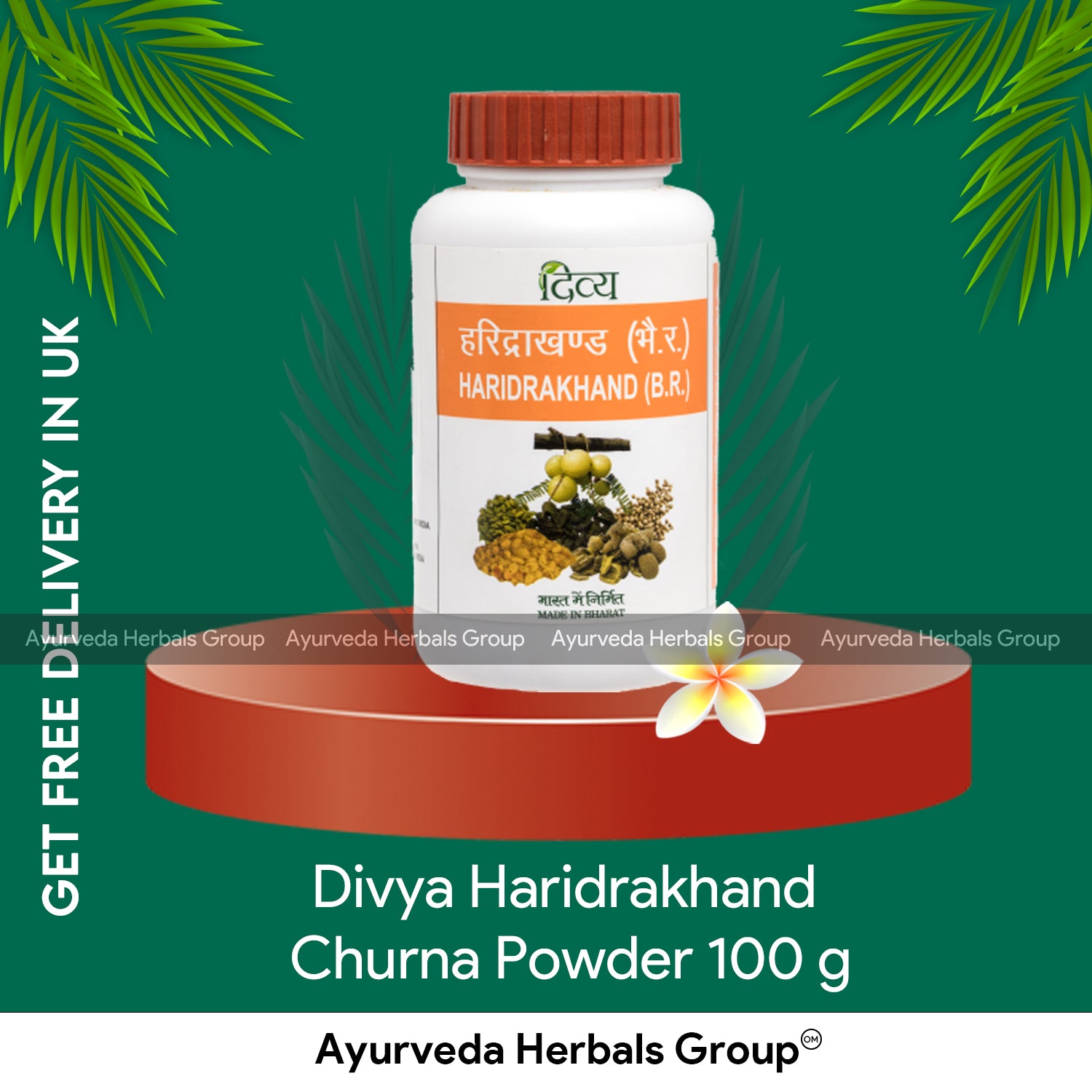 Divya Haridrakhand Churna Powder 100 g