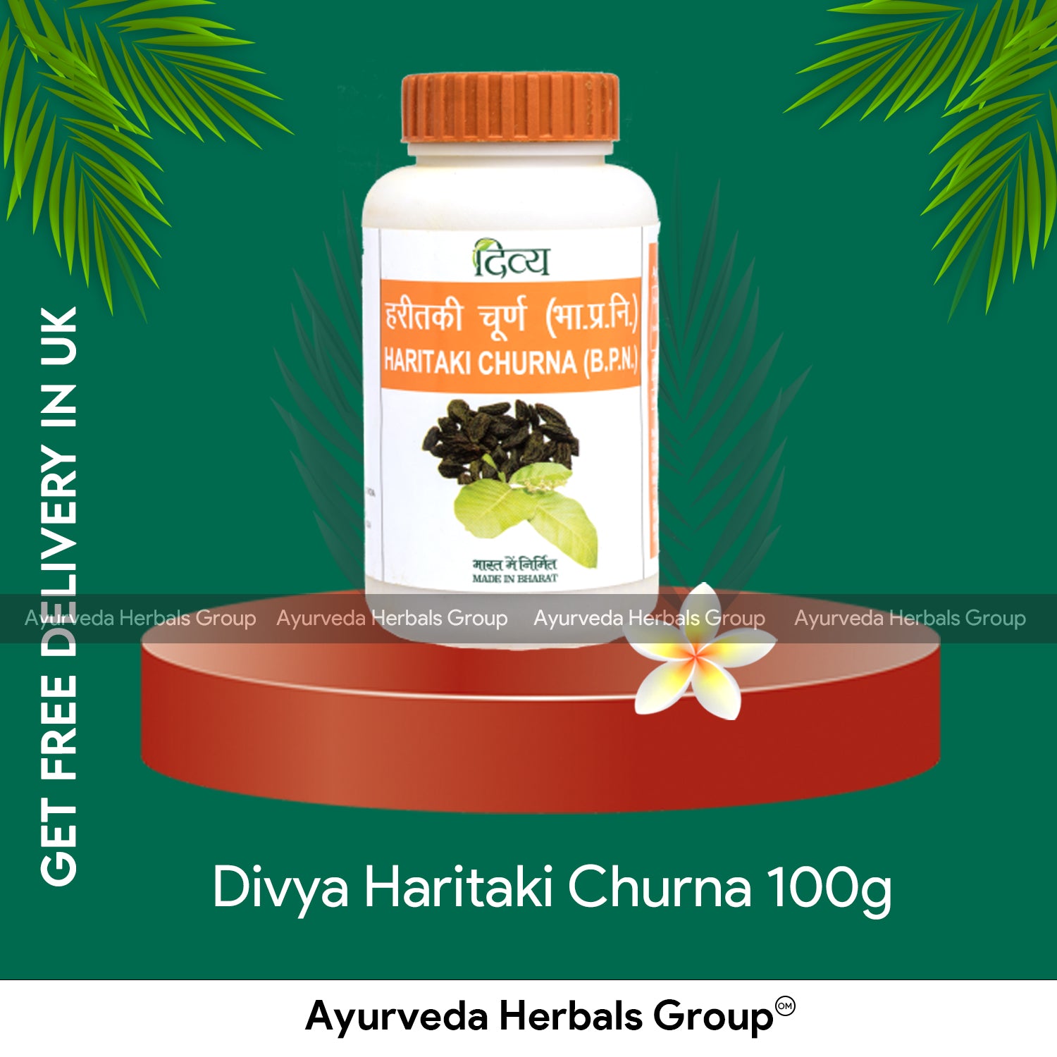 Patanjali Divya Haritaki Churna 100g