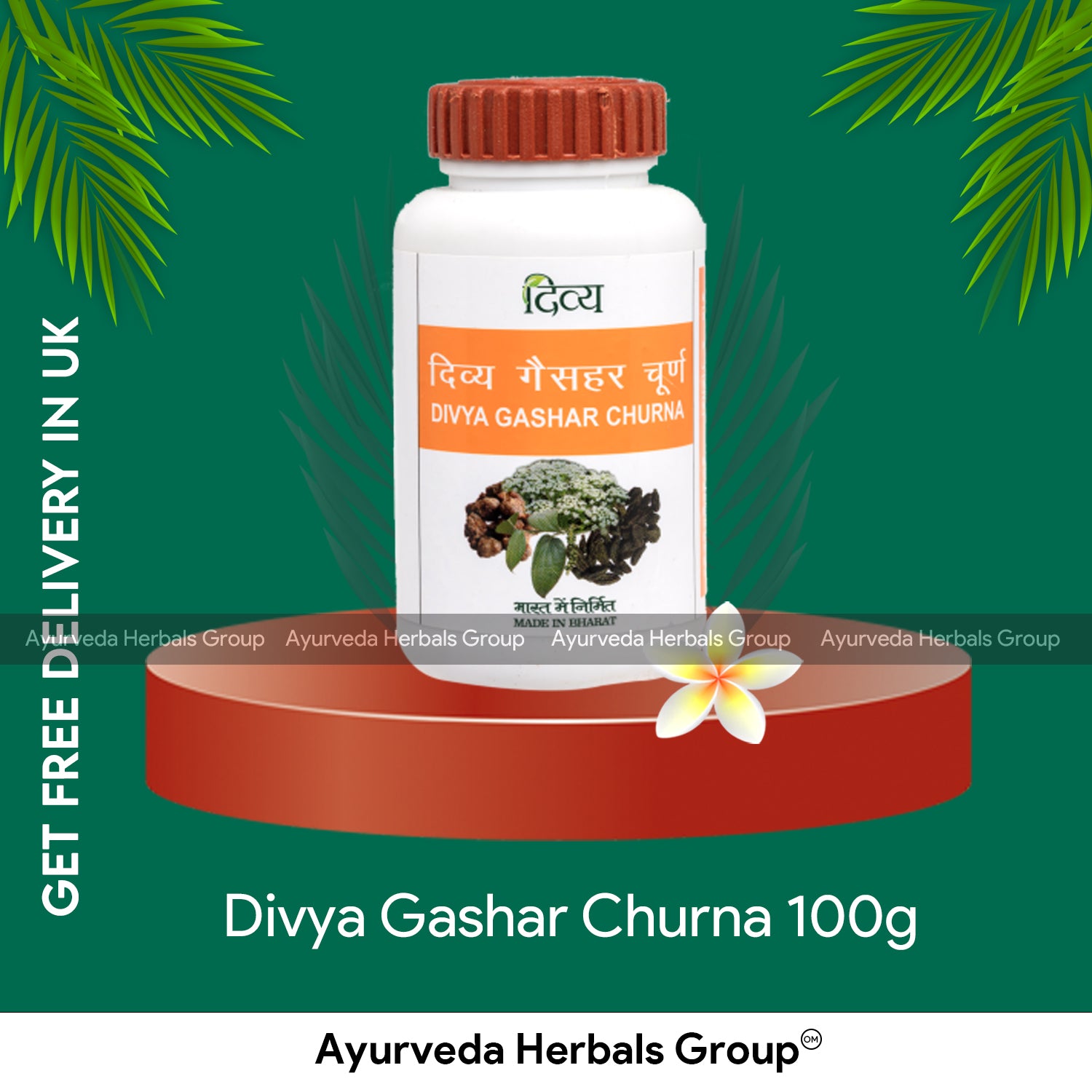 Patanjali Divya Gashar Churna 100g