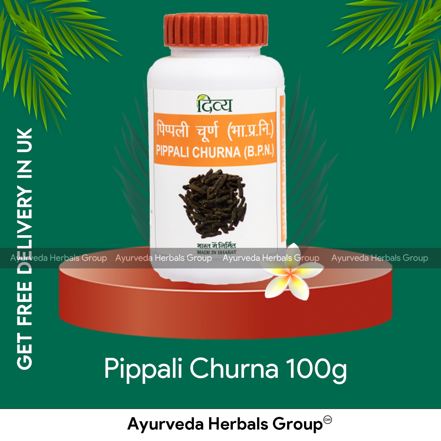 Patanjali Pippali Churna 100g
