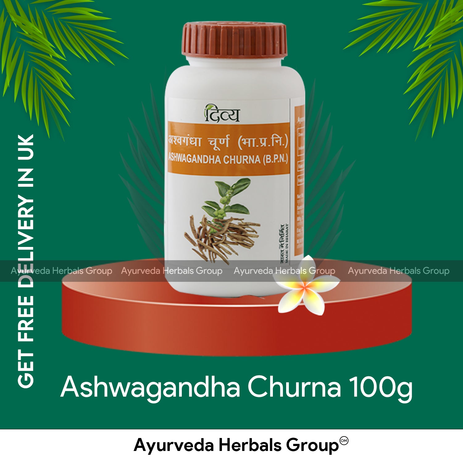 Patanjali Ashwagandha Churna 100g