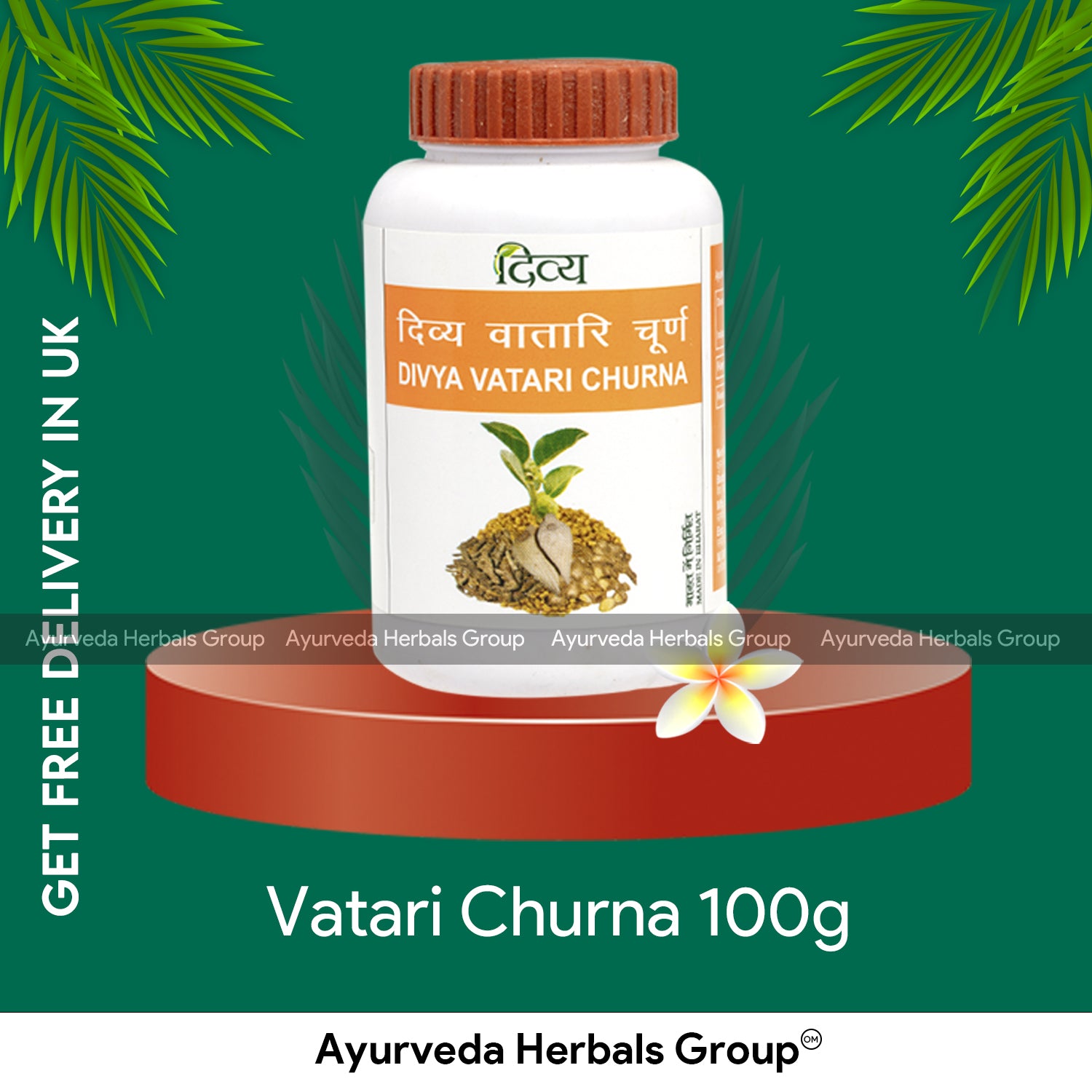 Patanjali Vatari Churna 100g