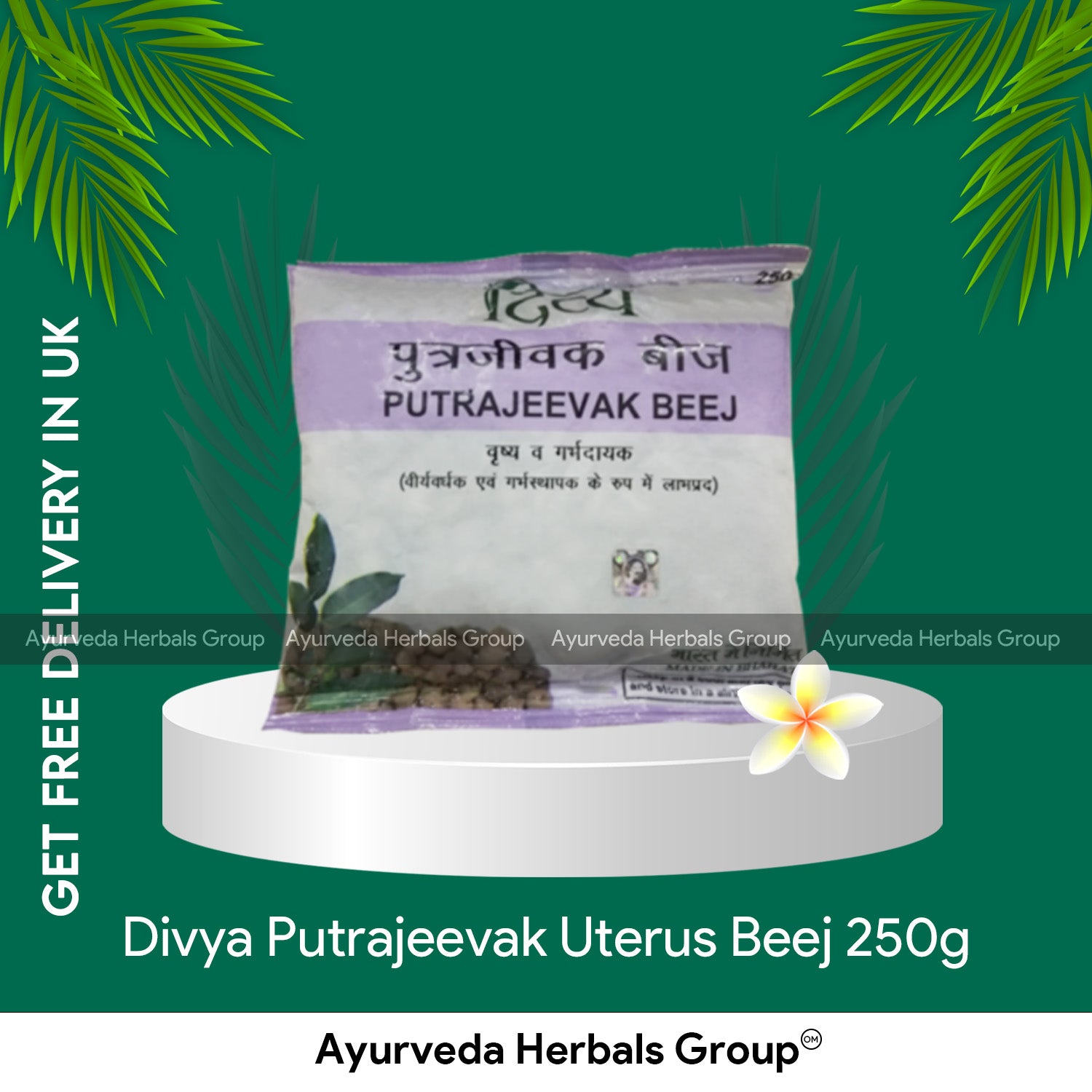Patanjali Divya Putrajeevak Beej 250g