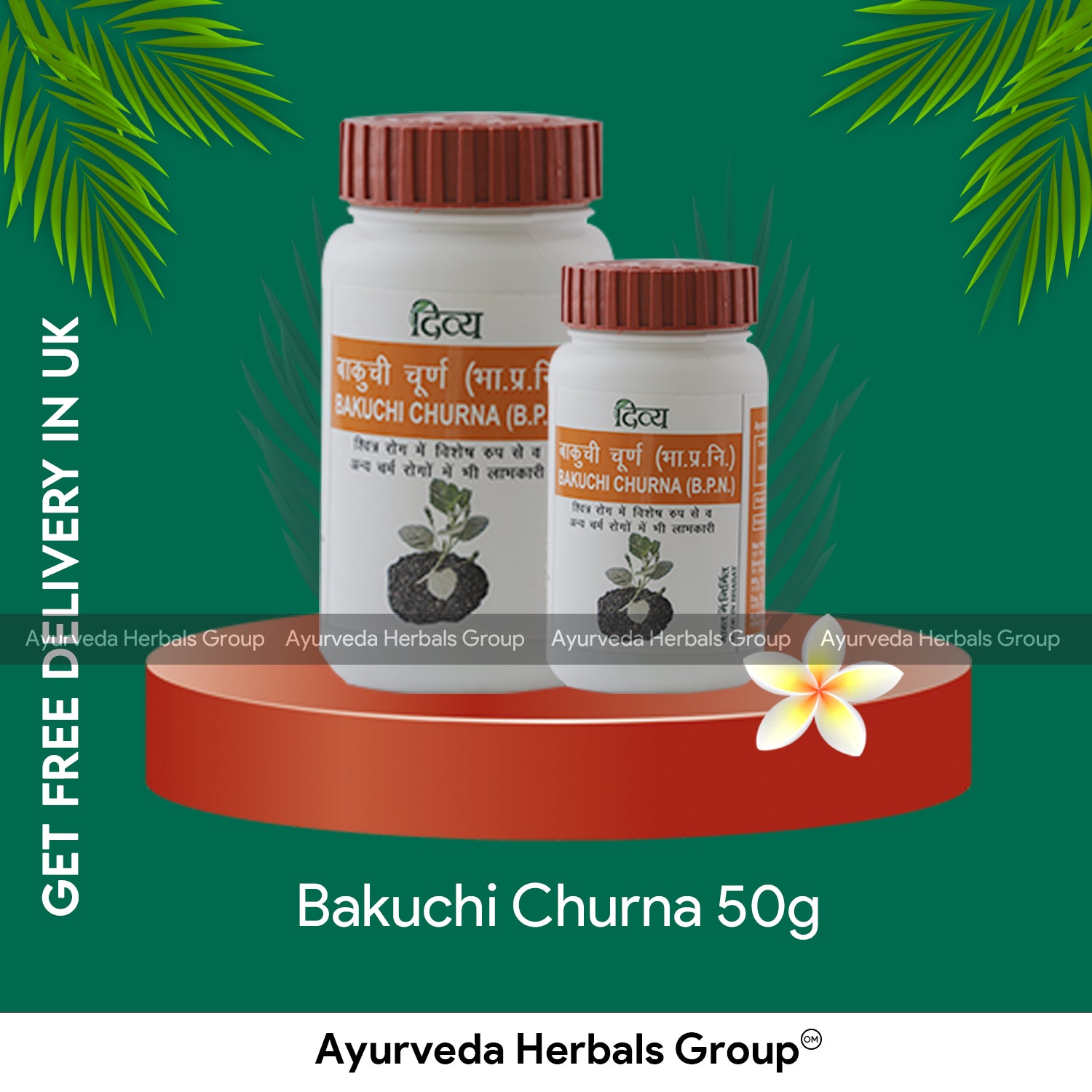 Patanjali Bakuchi Churna 50g