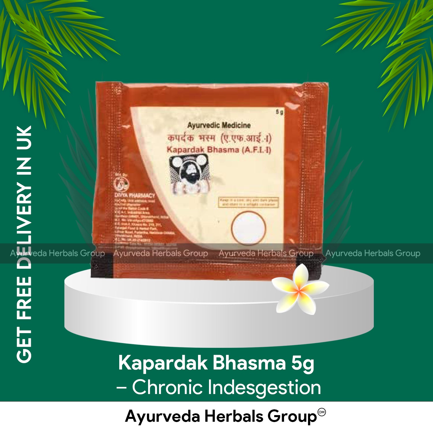 Patanjali Kapardak Bhasma 5g