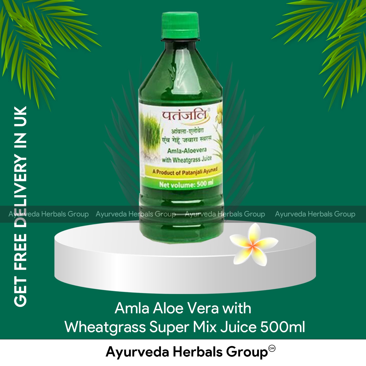Patanjali Amla Aloe Vera with Wheatgrass Super Mix Juice 500ml