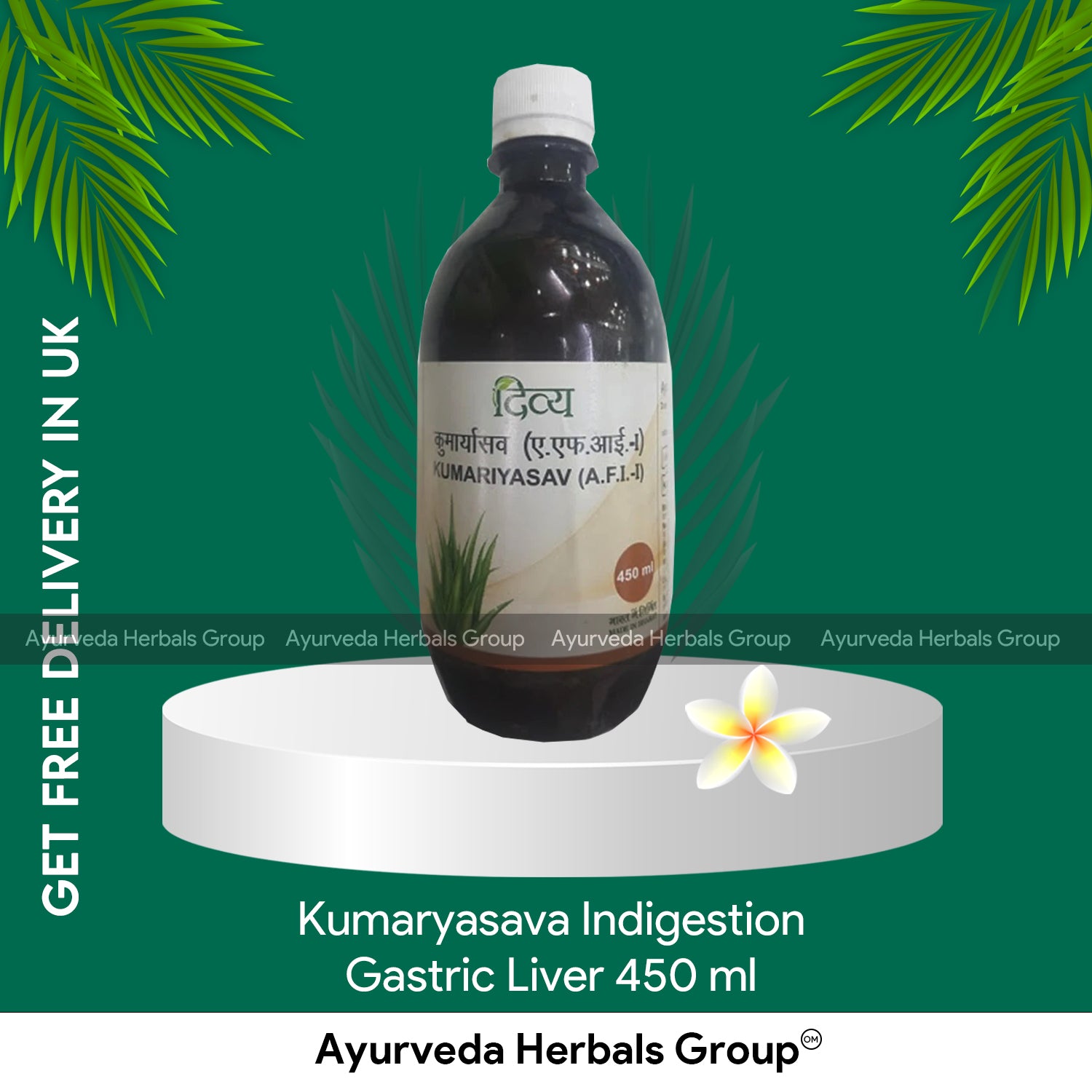 Patanjali Kumaryasava 450 ml