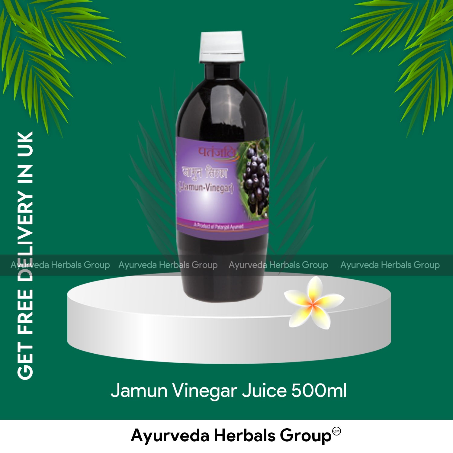 Patanjali Jamun Vinegar Juice 500ml