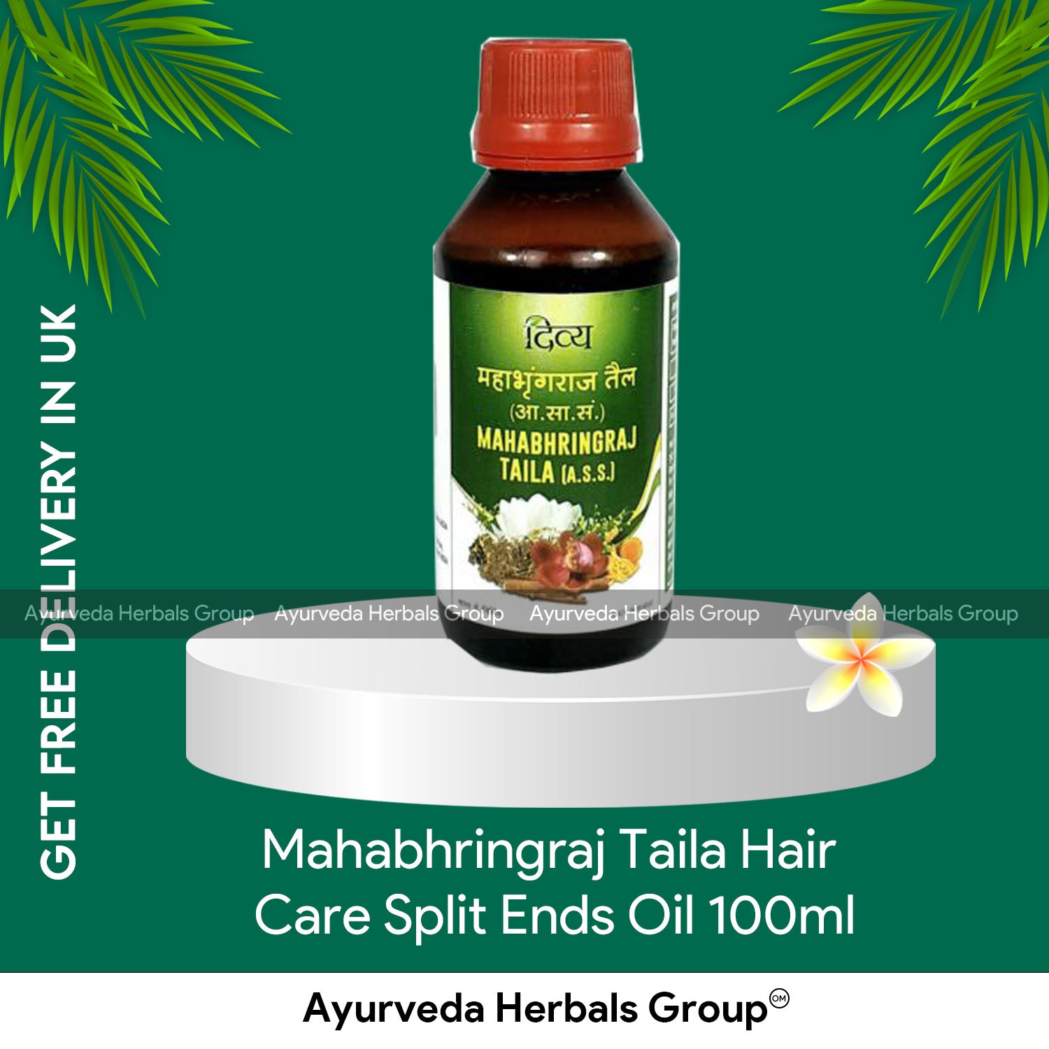 Patanjali Mahabhringraj Taila Oil 100ml