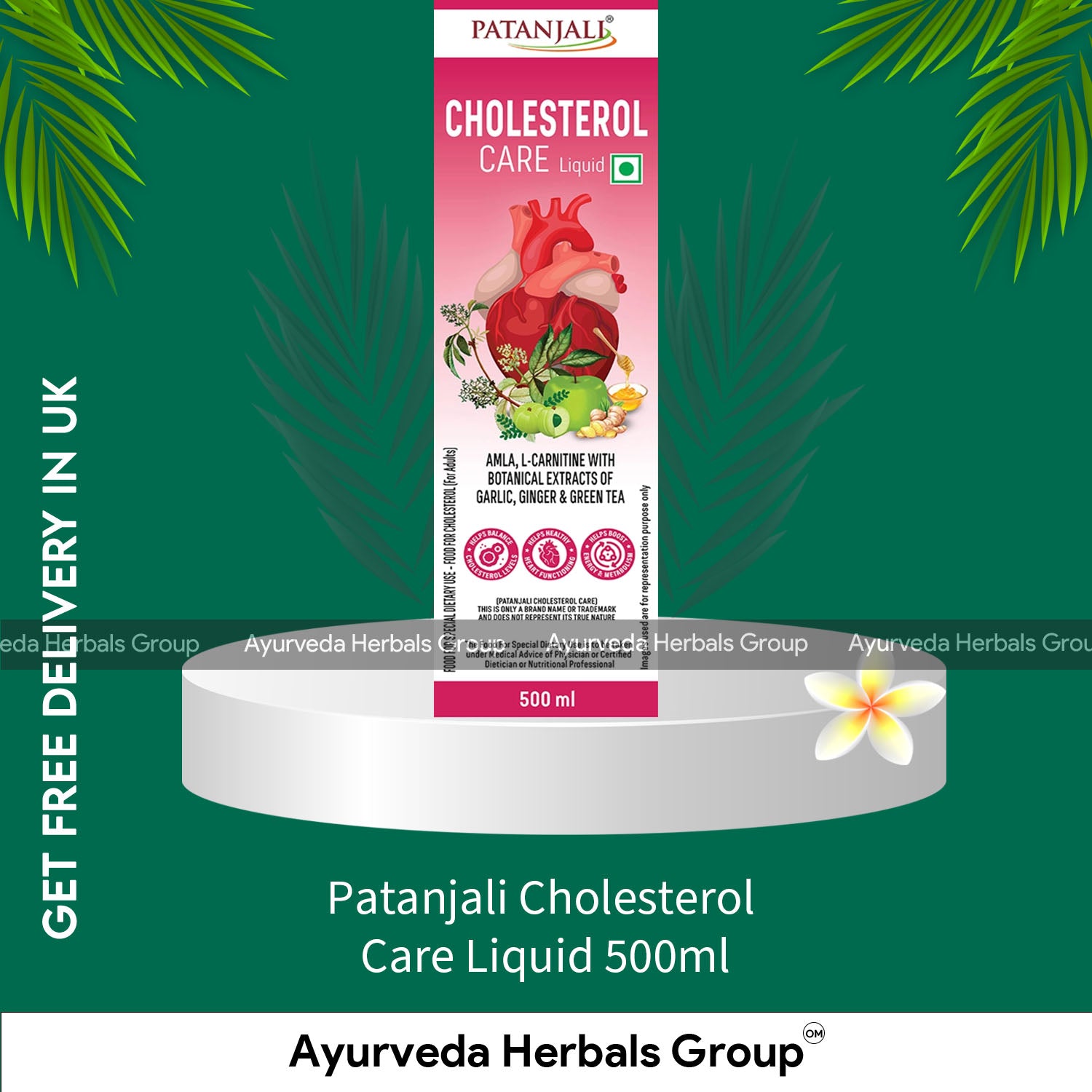 Patanjali Cholesterol Care Liquid 500ml