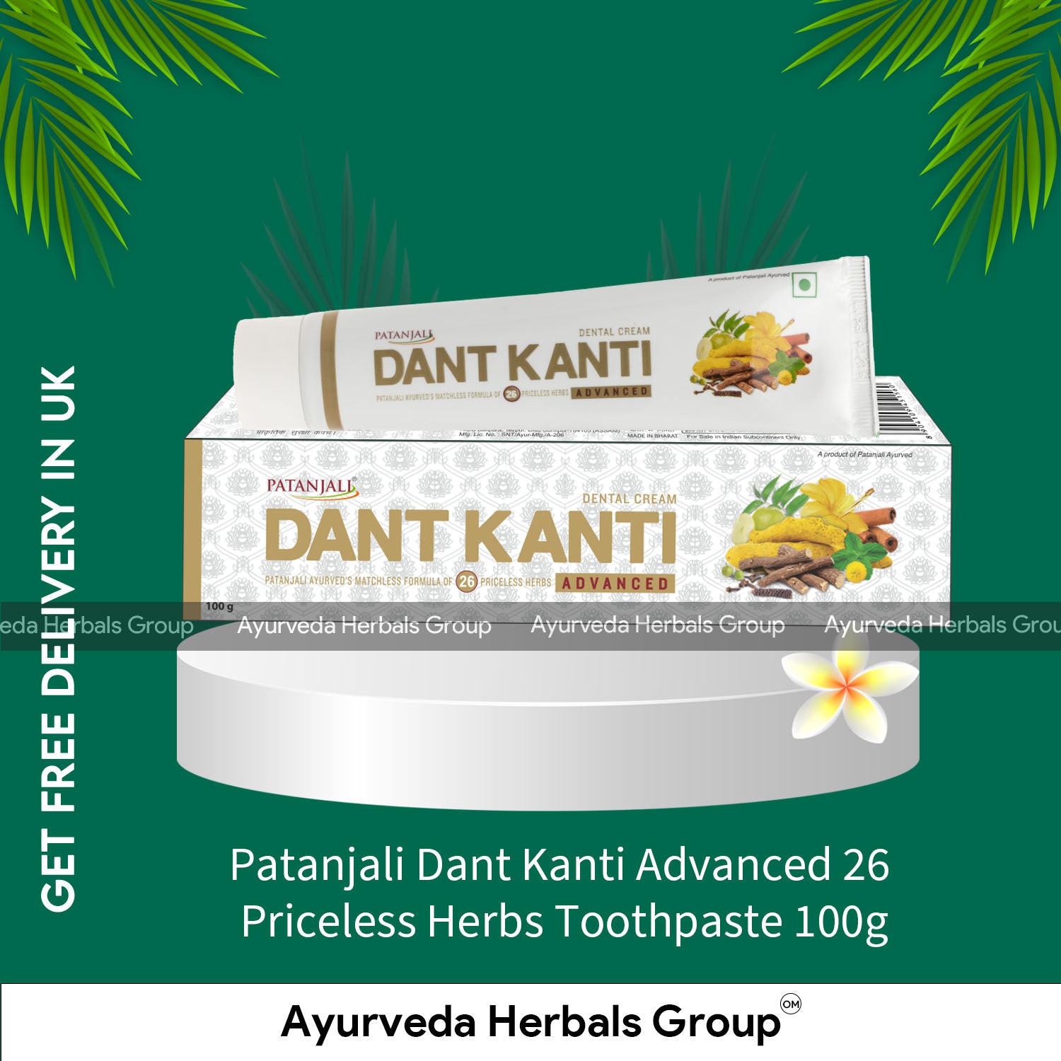 Patanjali Dant Kanti Advanced 26 Priceless Herbs Toothpaste 100g