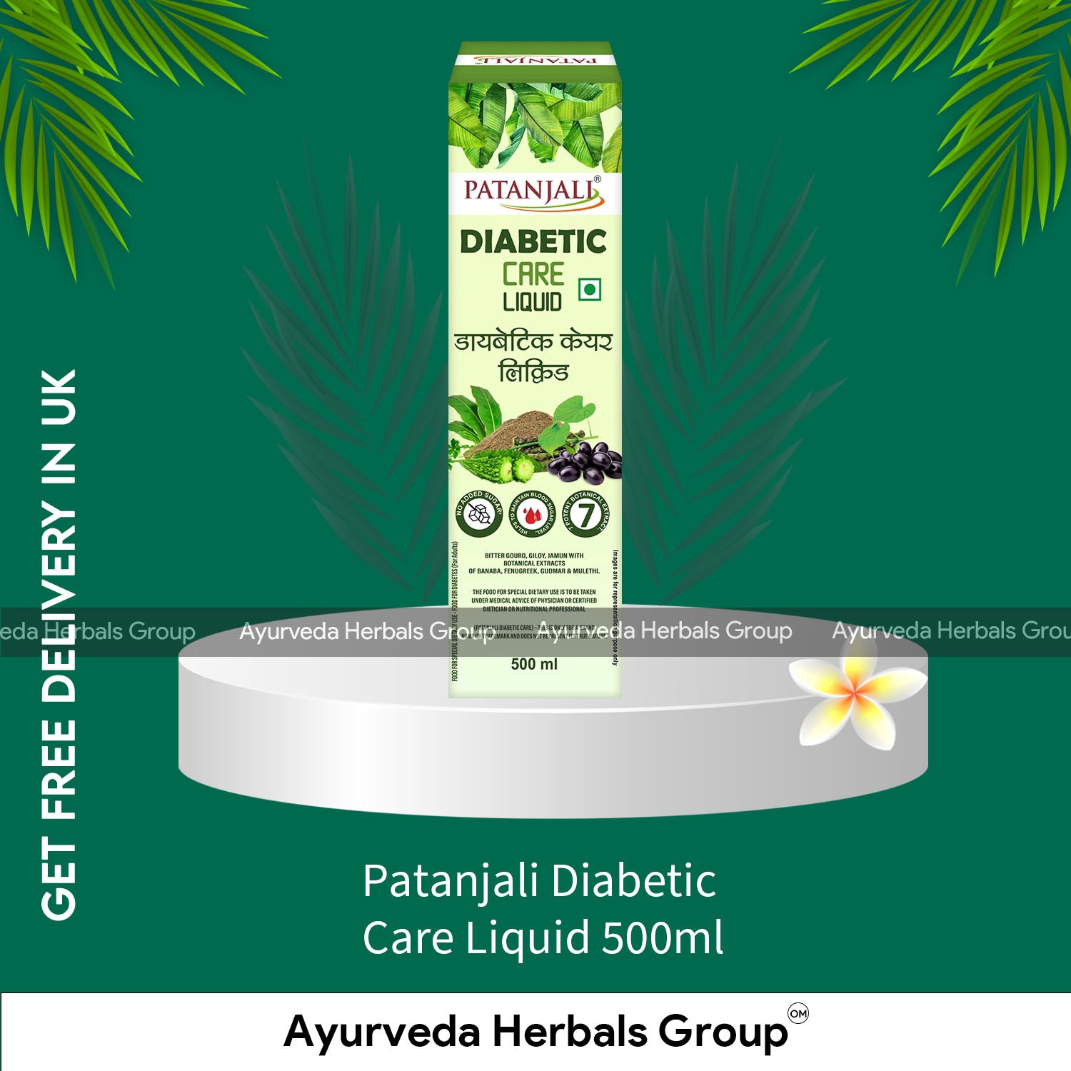 Patanjali Diabetic Care Liquid 500ml