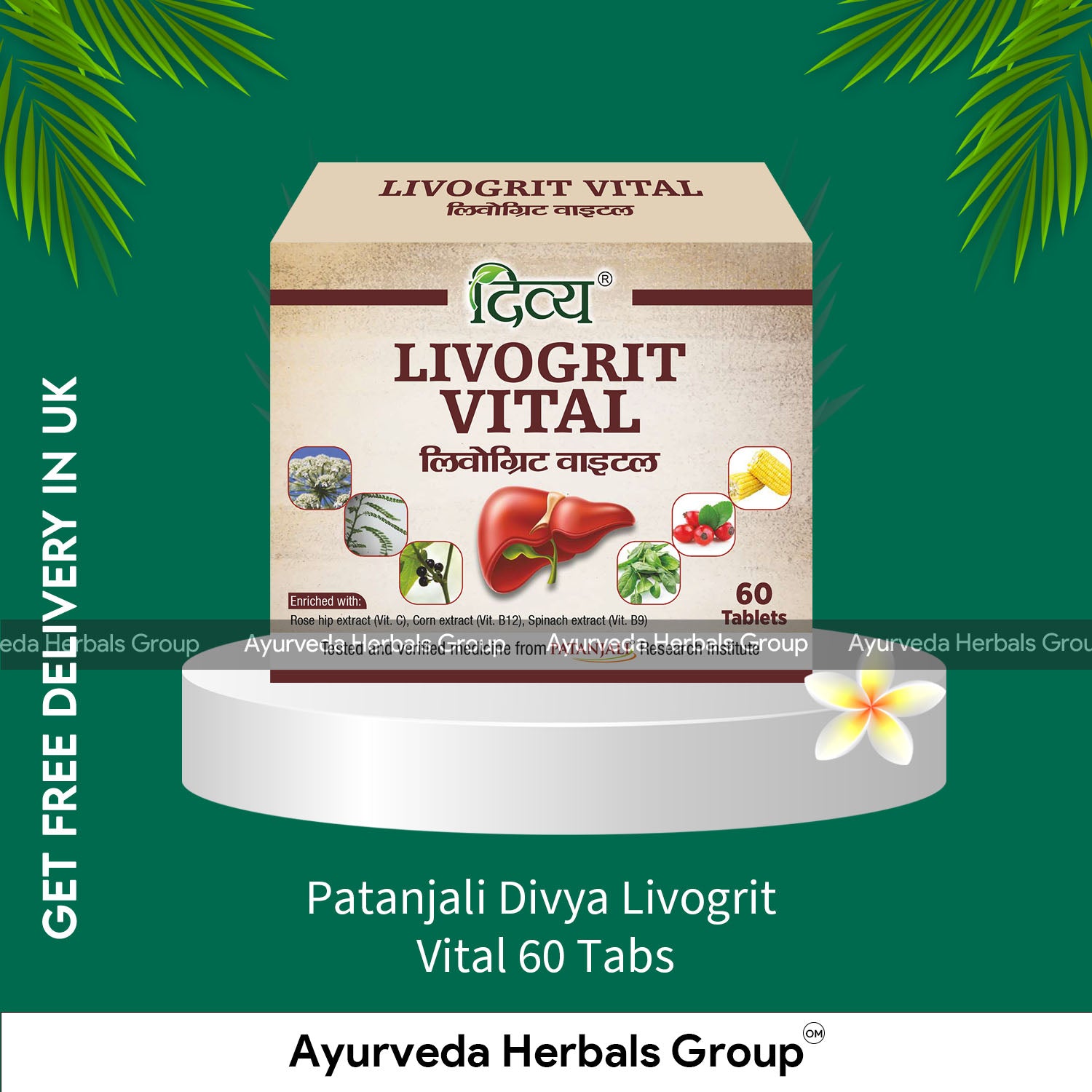 Patanjali Divya Livogrit Vital 60 Tabs
