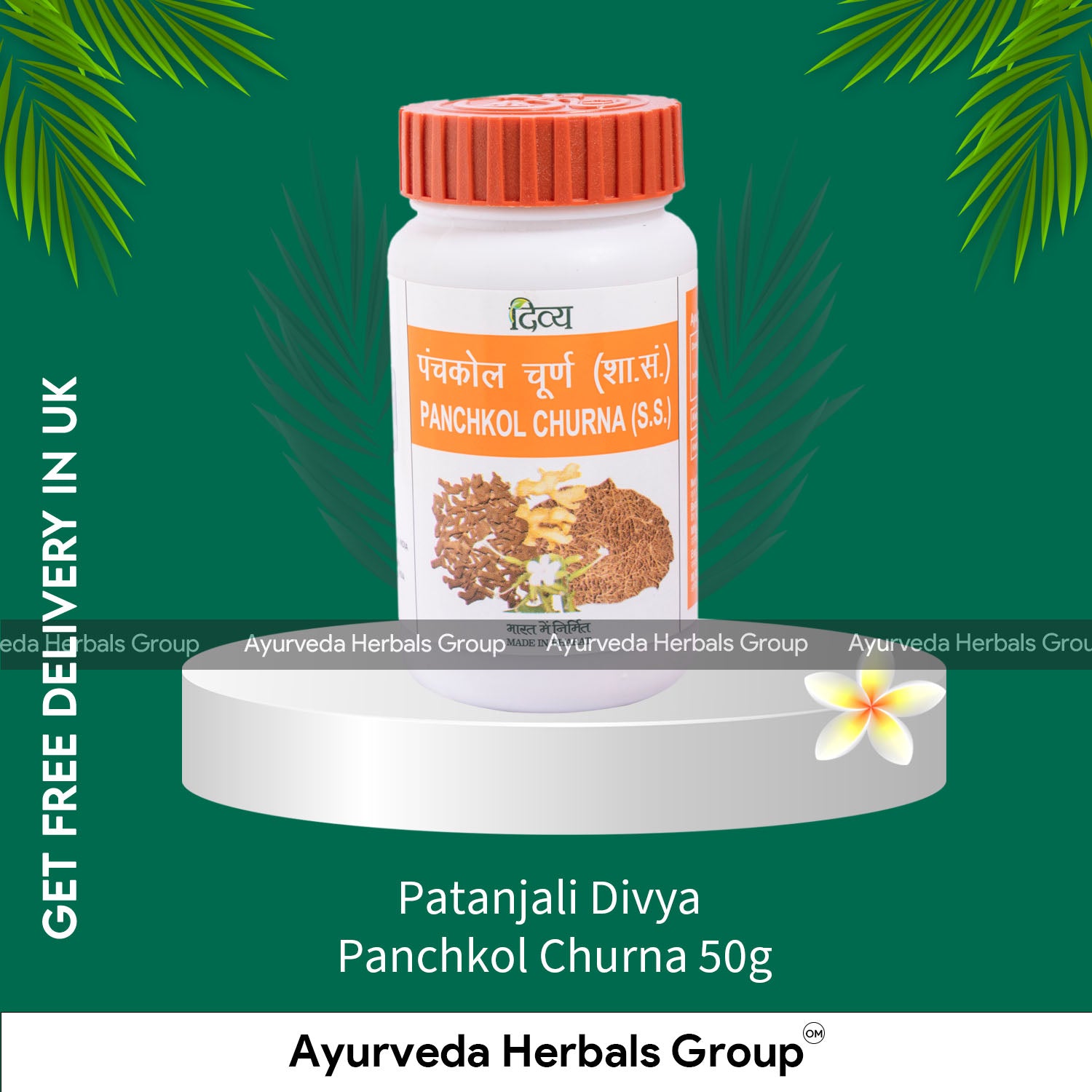 Patanjali Divya Panchkol Churna 50g