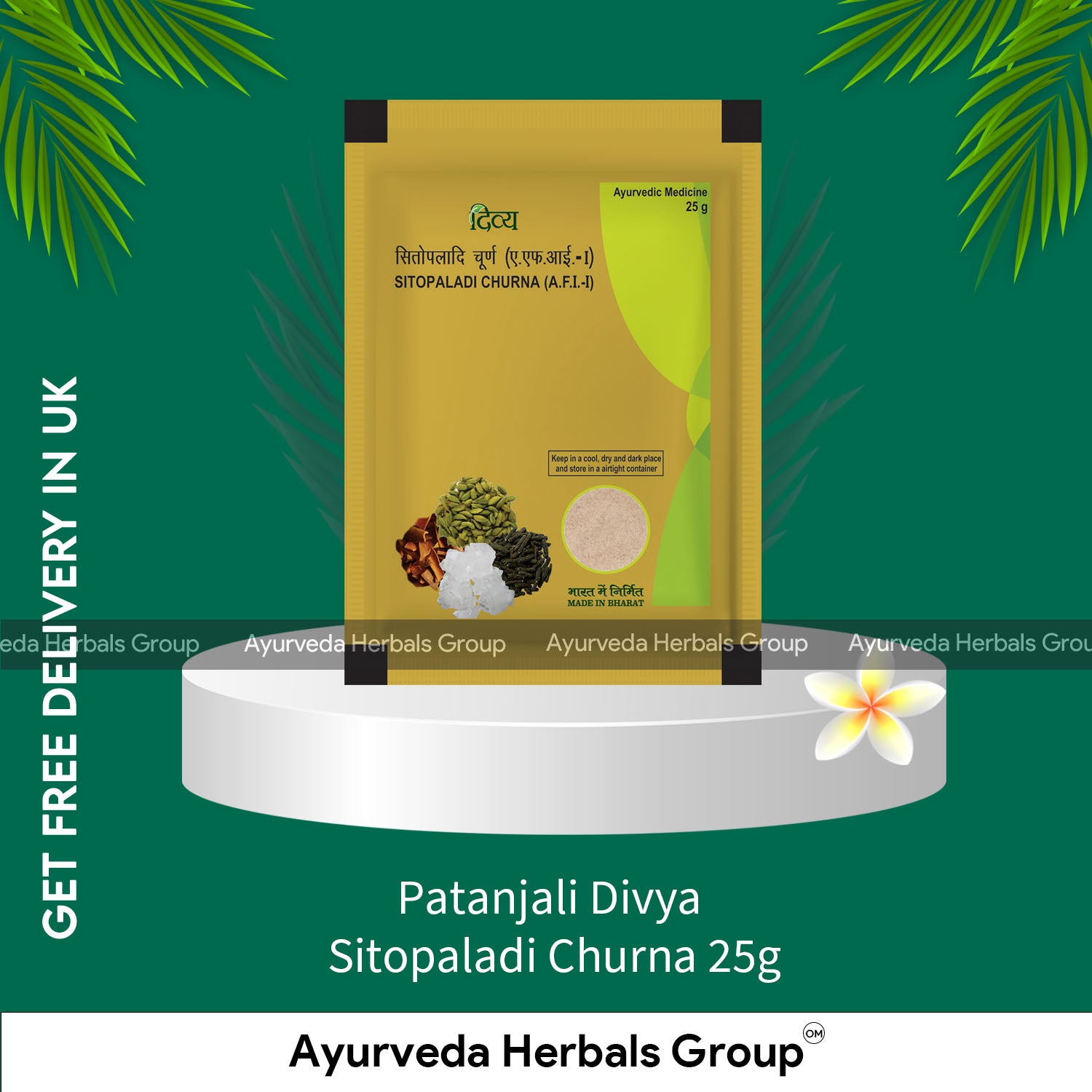 Patanjali Divya Sitopaladi Churna 25g