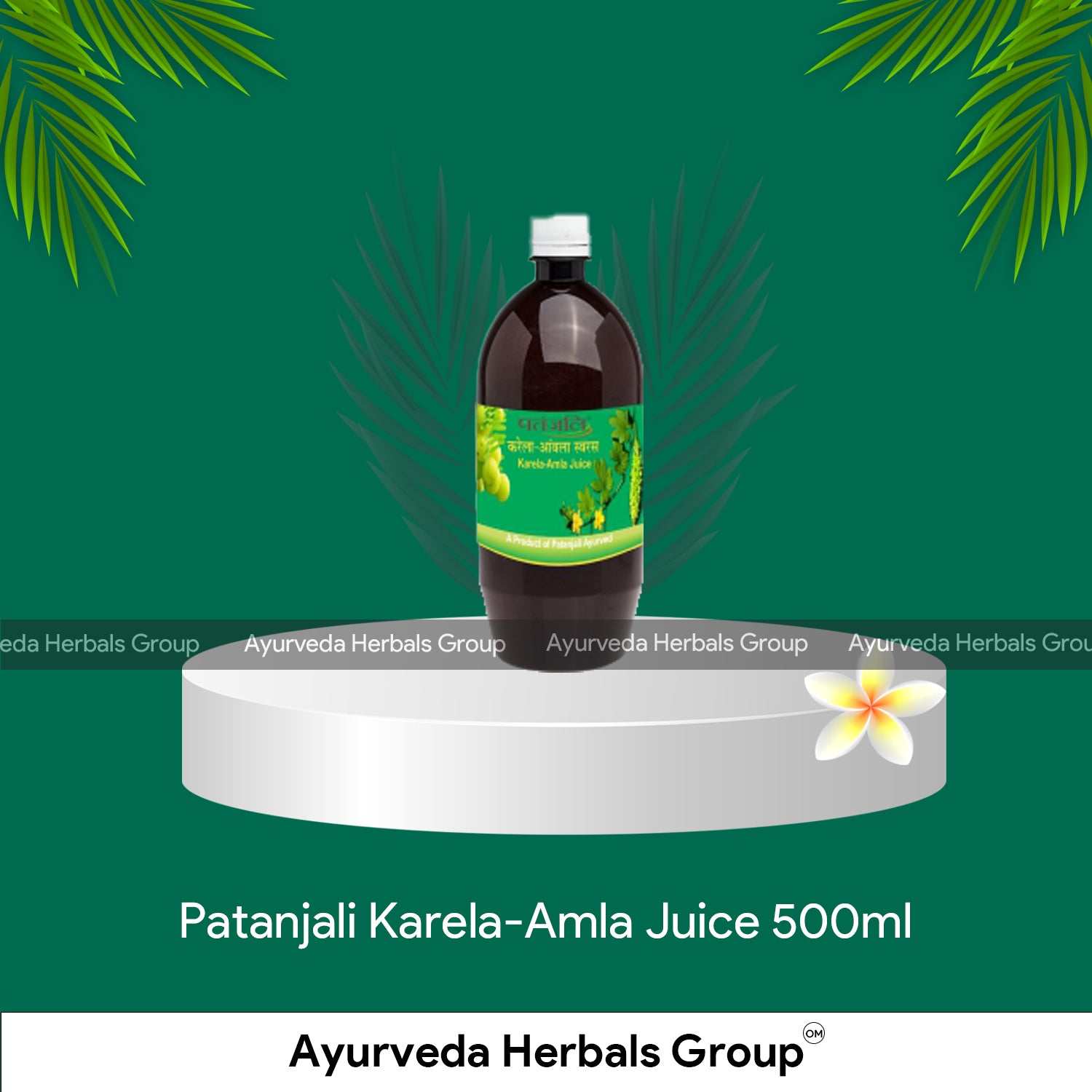 Patanjali Karela-Amla Juice 500ml