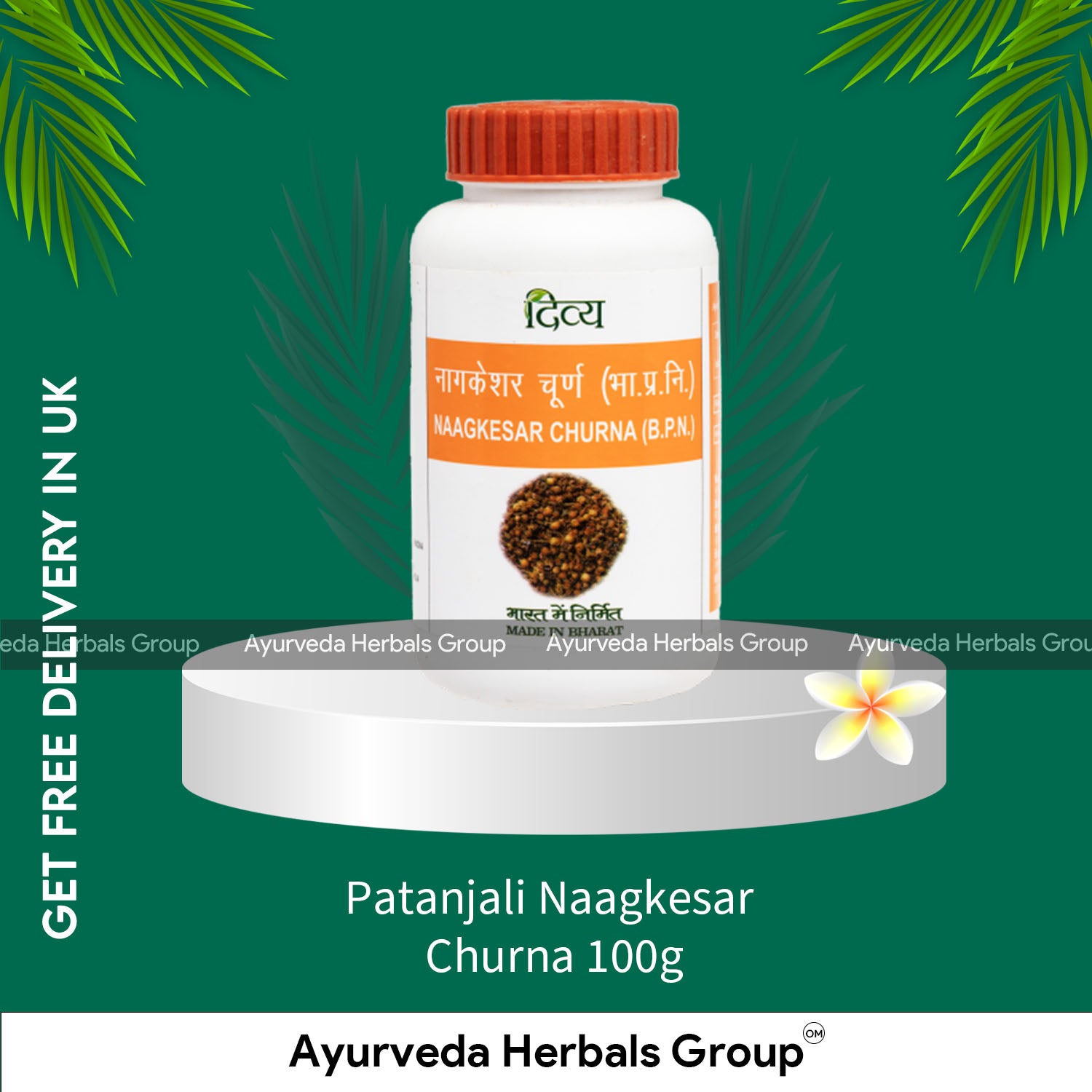 Patanjali Naagkesar Churna 100g