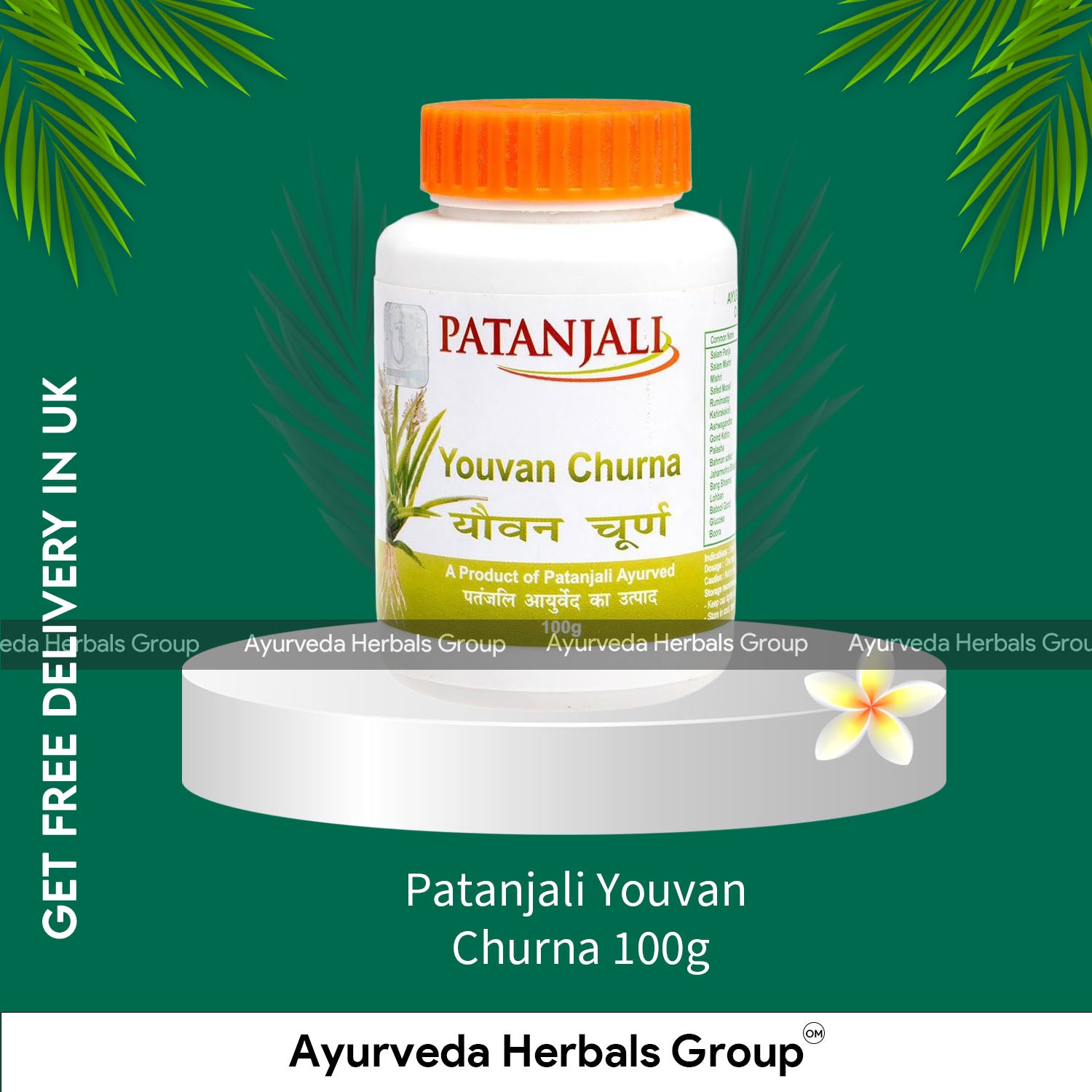 Patanjali Youvan Churna 100g