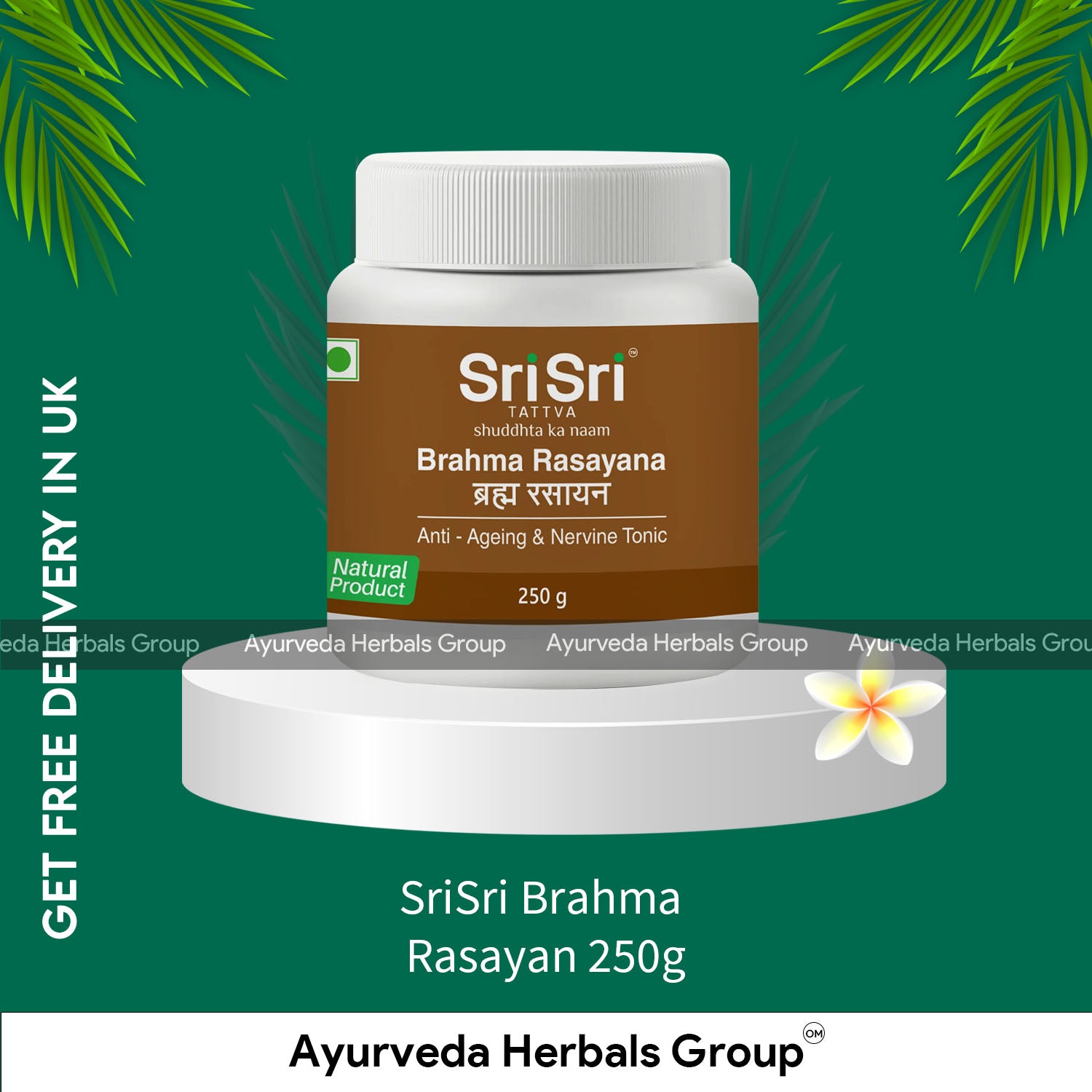 SriSri Brahma Rasayan 250g