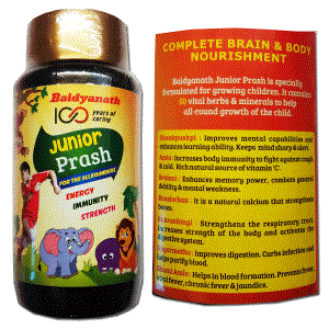 Baidyanath Junior Prash 1kg