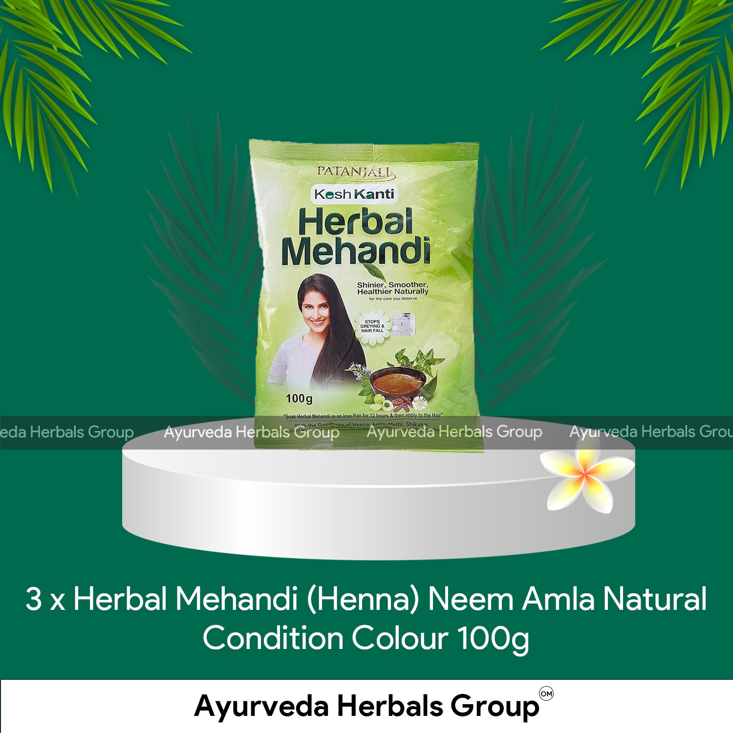 3 x Herbal Mehandi (Henna) Neem Amla Natural Condition Colour 100g