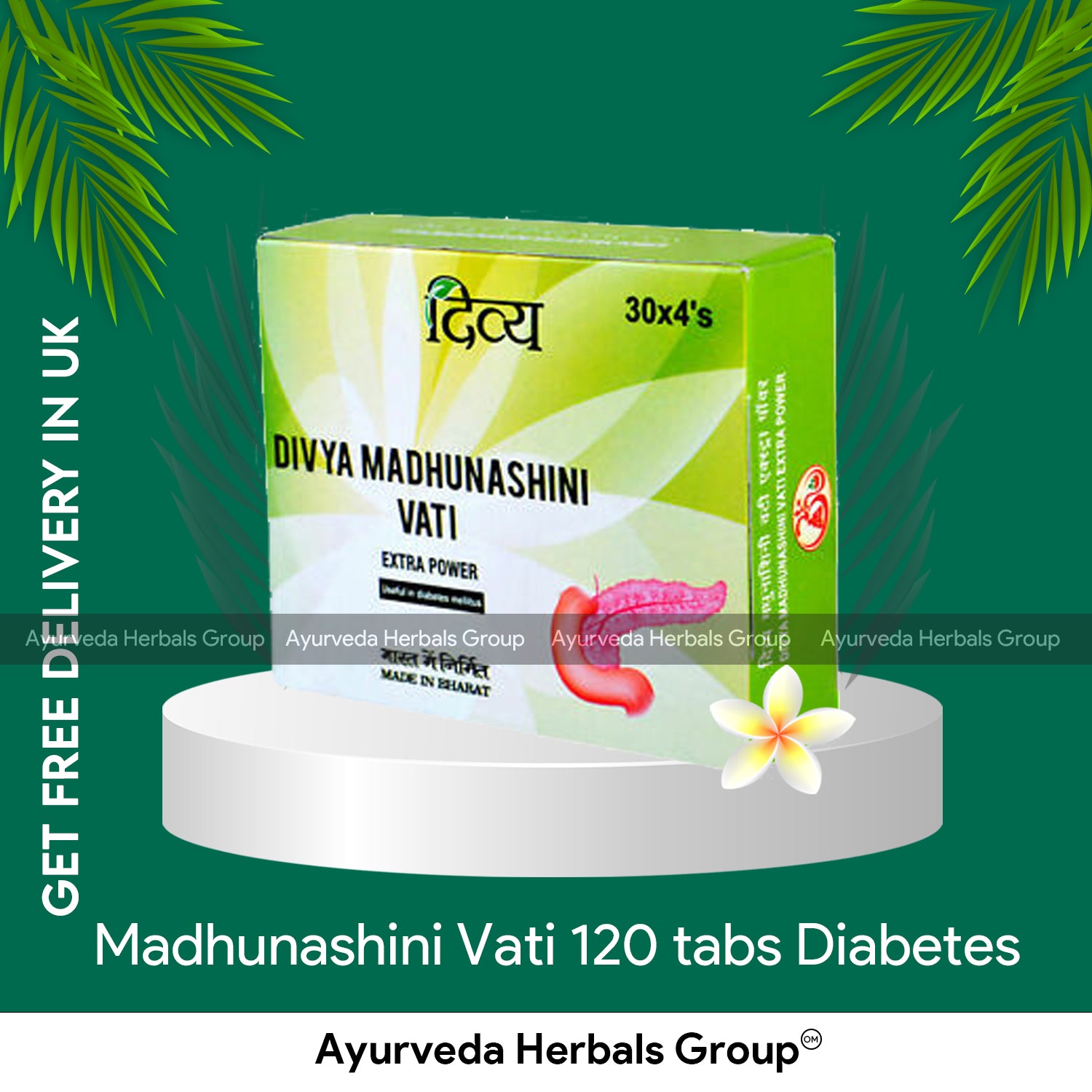 Patanjali Madhunashini Vati 120 tabs Diabetes