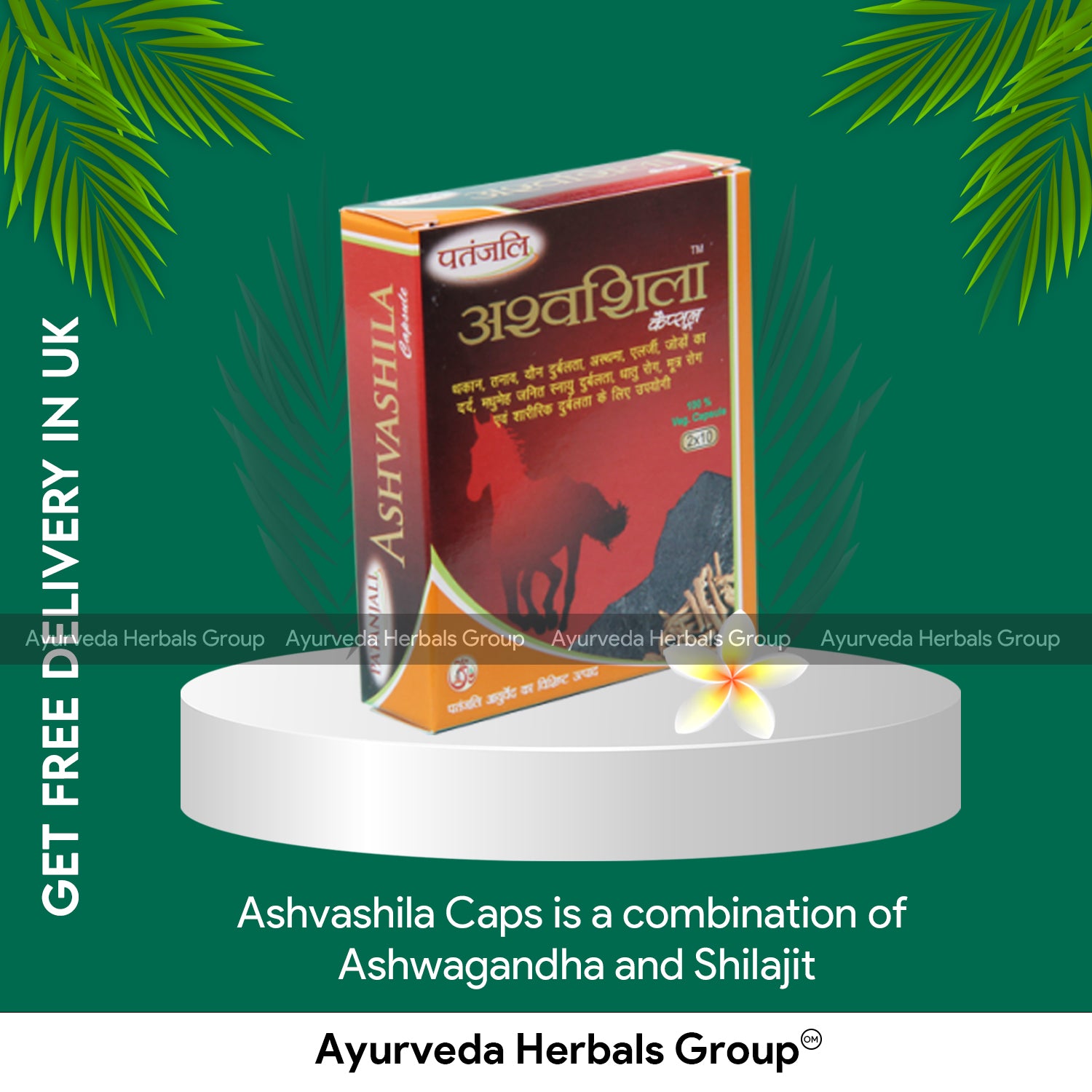 Patanjali Ashvashila Caps Ashwagandha Shilajit 2 x 10