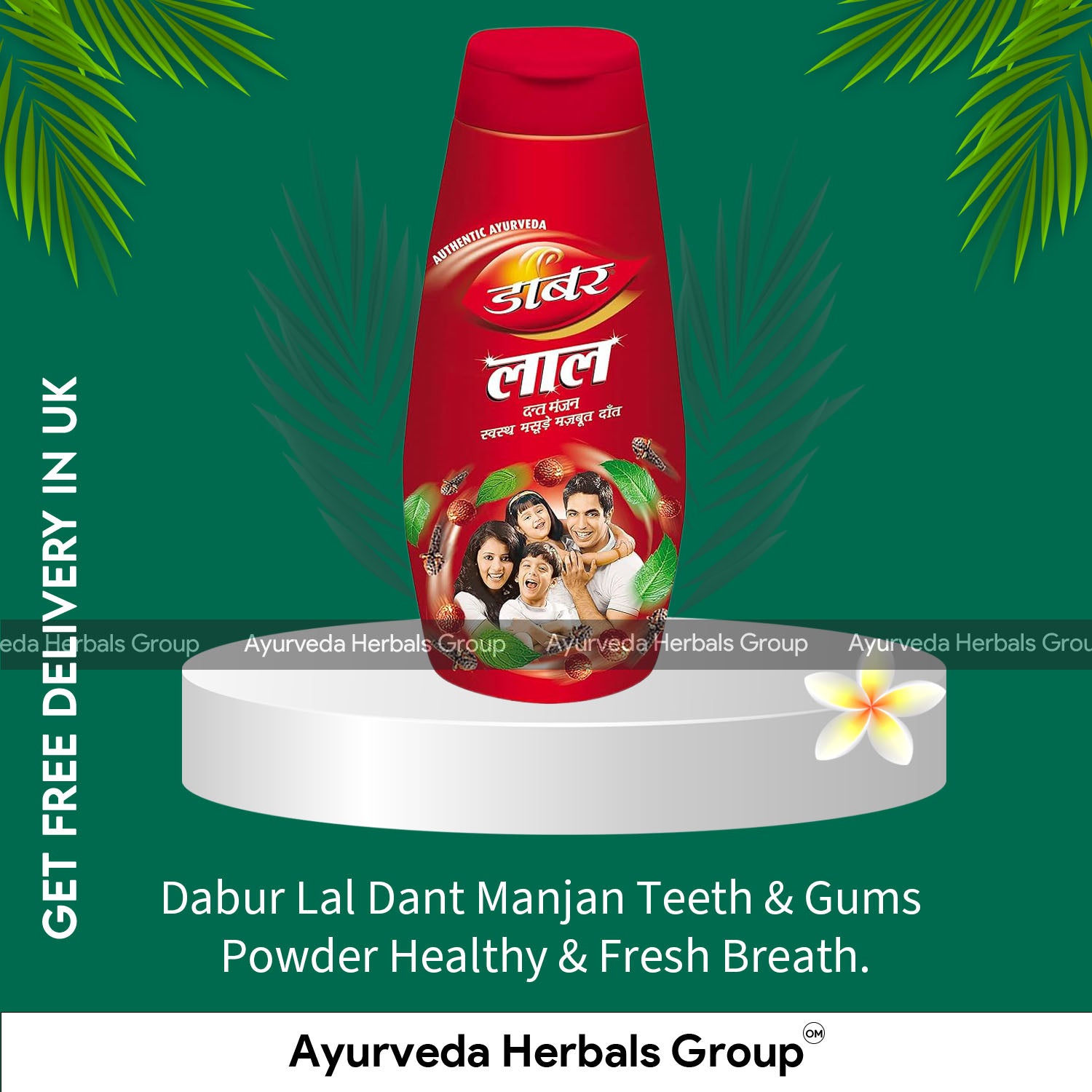 Dabur Lal Dant Manjan Teeth &amp; Gums Powder Healthy &amp; Fresh Breath.