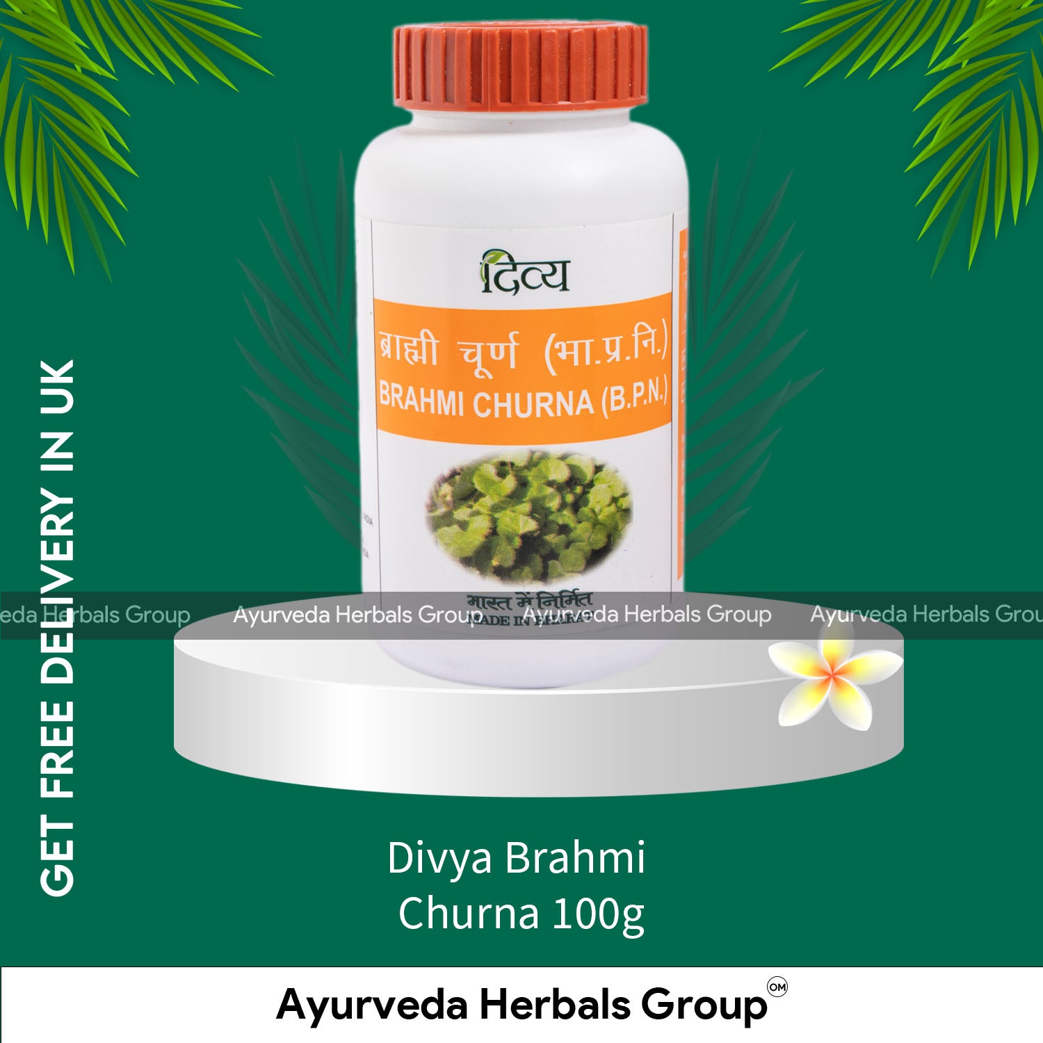Divya Brahmi Churna 100g