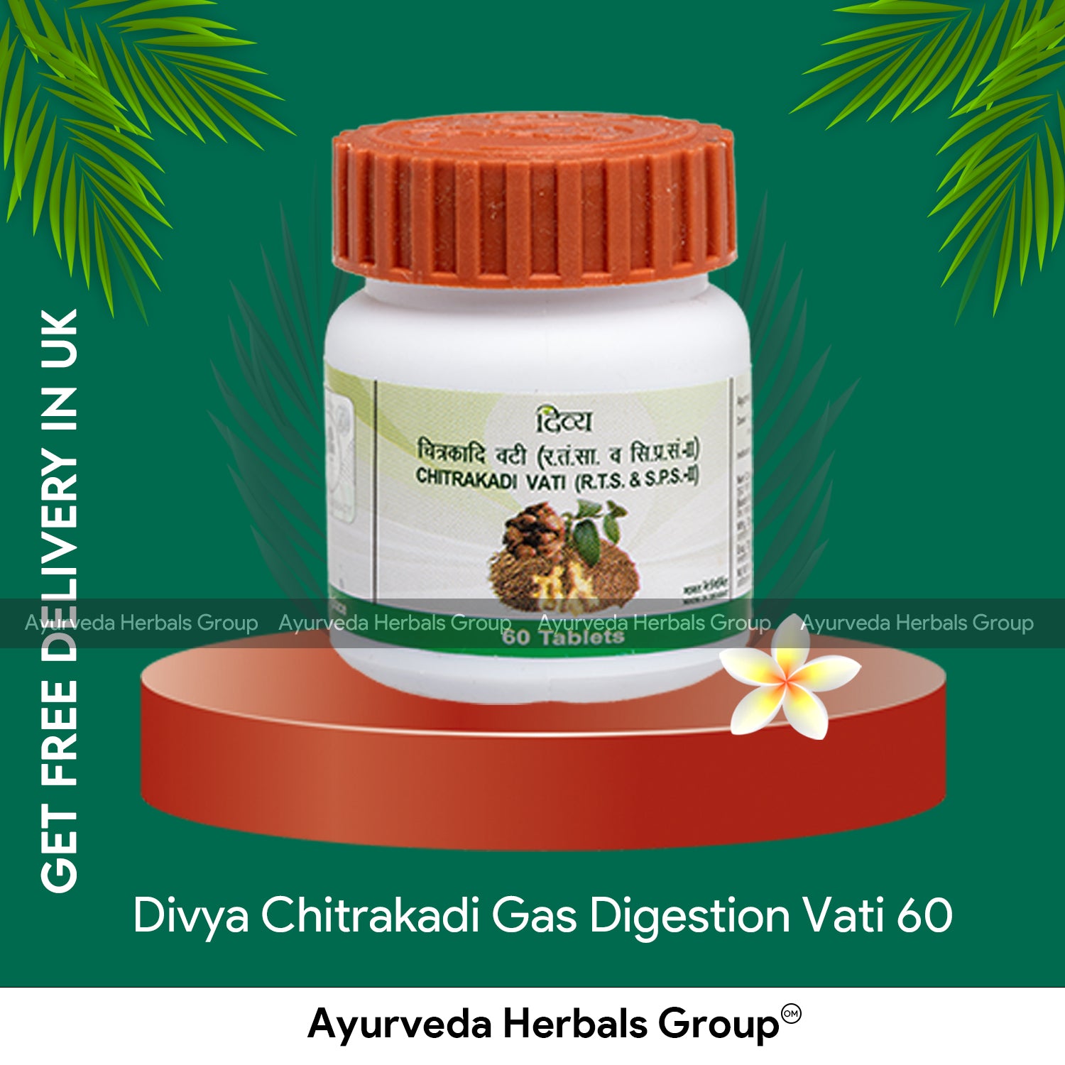 Patanjali Divya Chitrakadi Vati 60