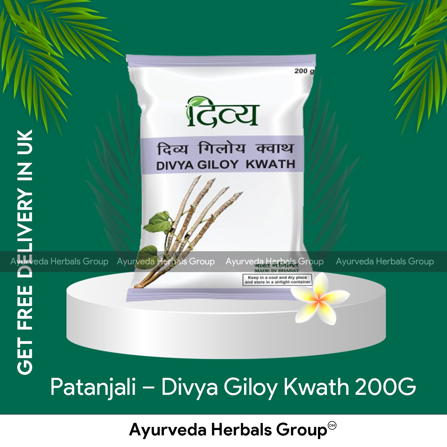 Patanjali - Divya Giloy Kwath 200G