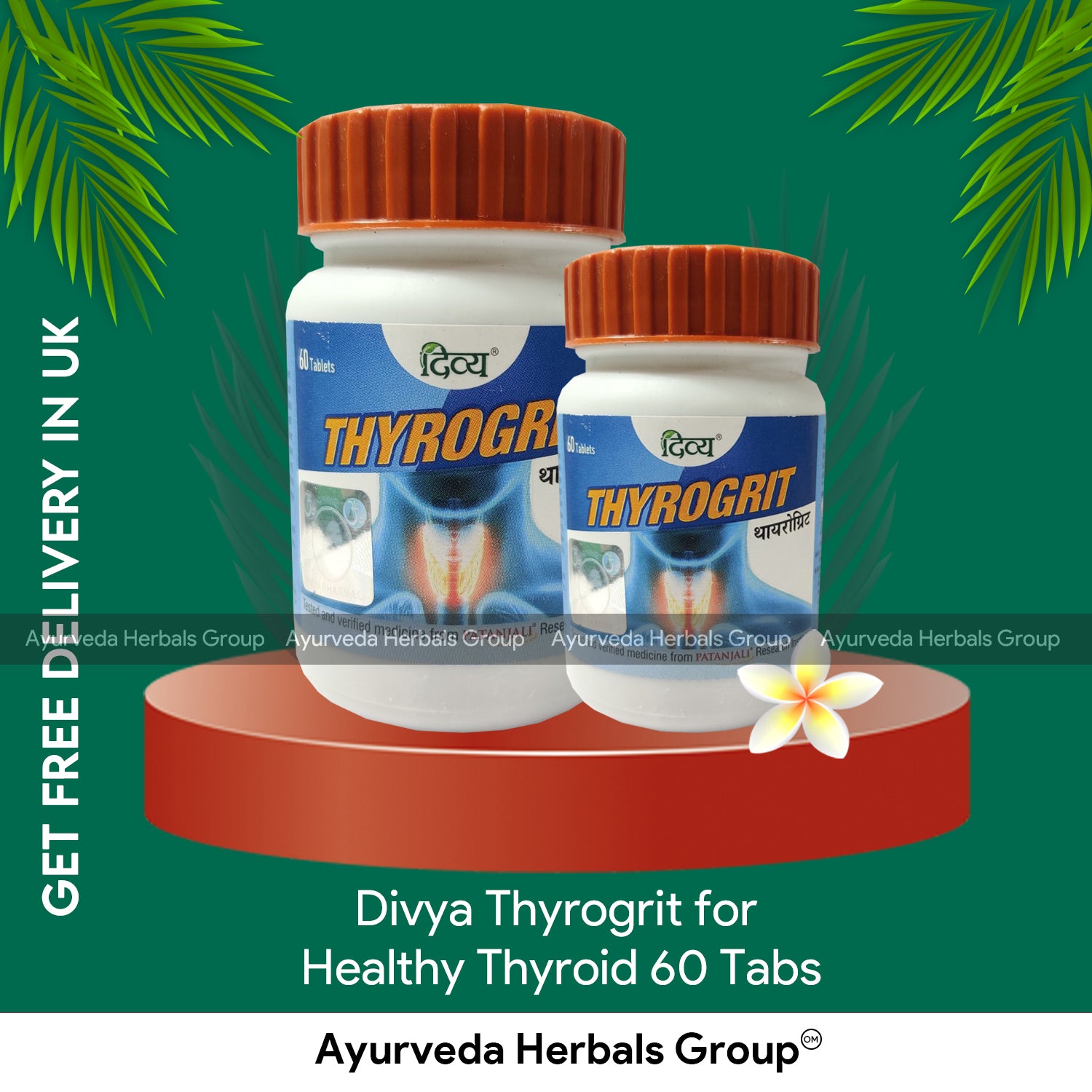 Patanjali Divya Thyrogrit 60 Tabs