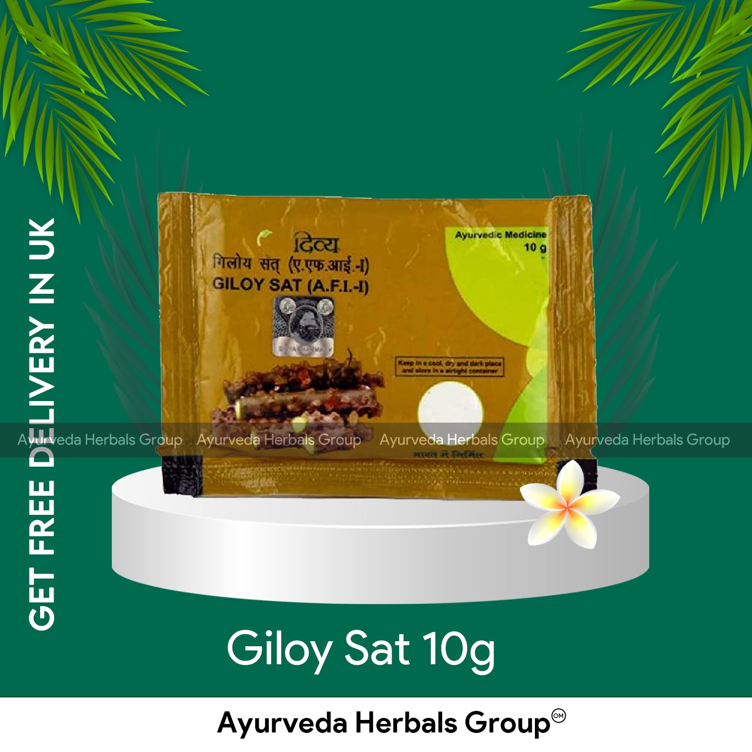 Patanjali Giloy Sat 10g