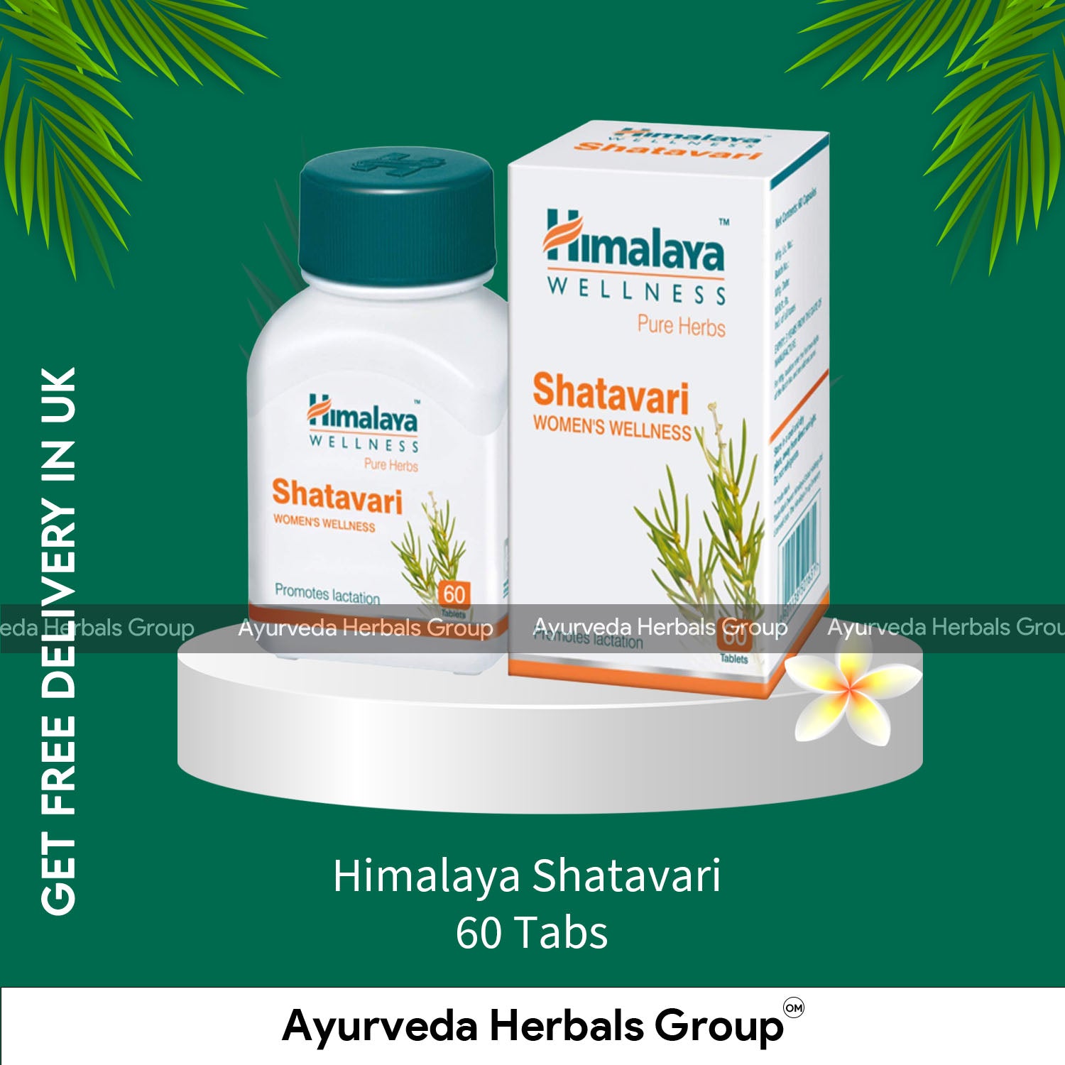 Himalaya Shatavari 60 Tabs