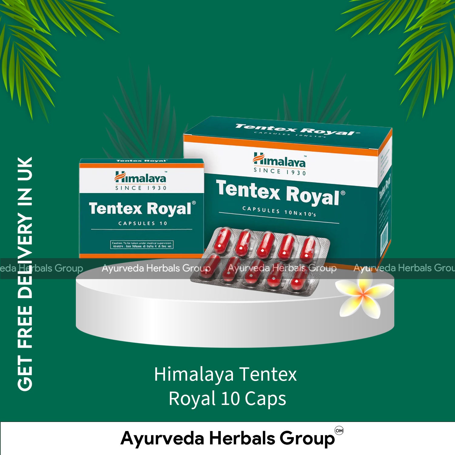 Himalaya Tentex Royal 10 Caps