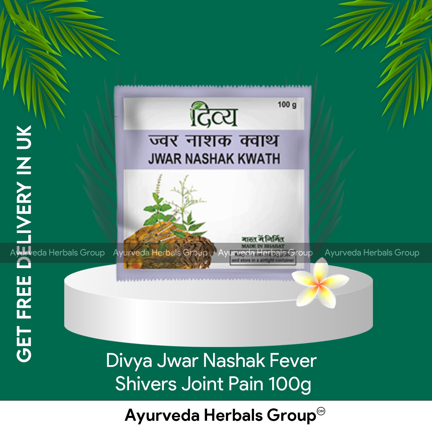 Patanjali Divya Jwar Nashak 100g