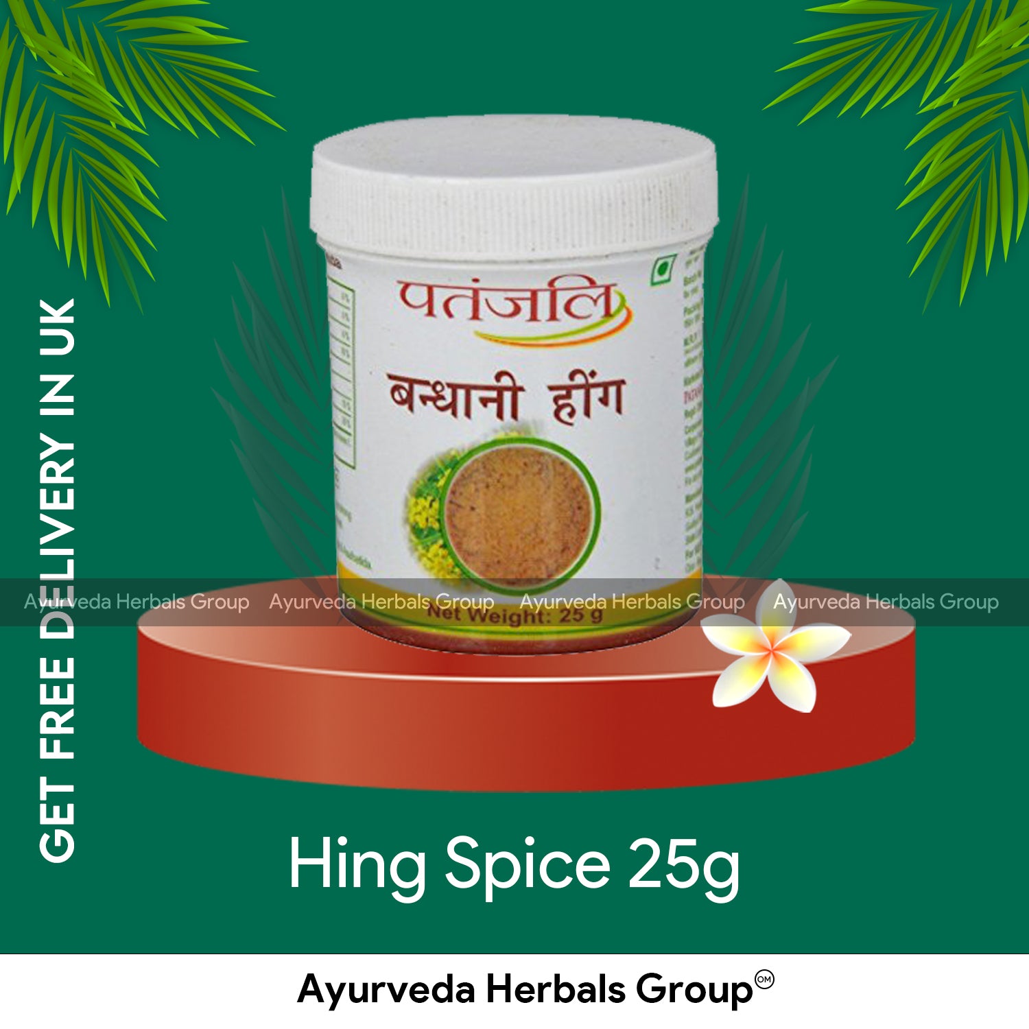 Patanjali Hing Spice 25g