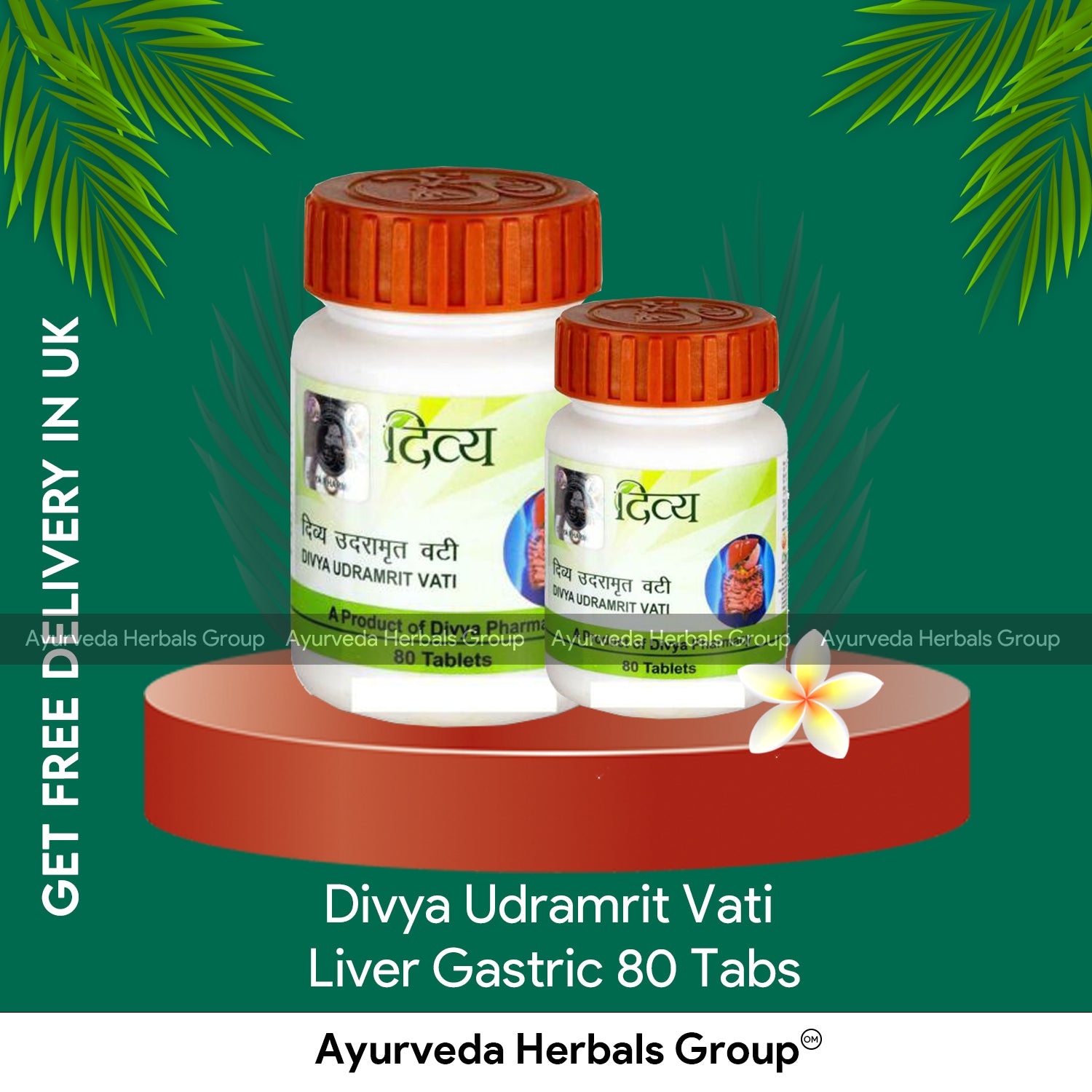 Patanjali Divya Udramrit Vati 80 Tabs