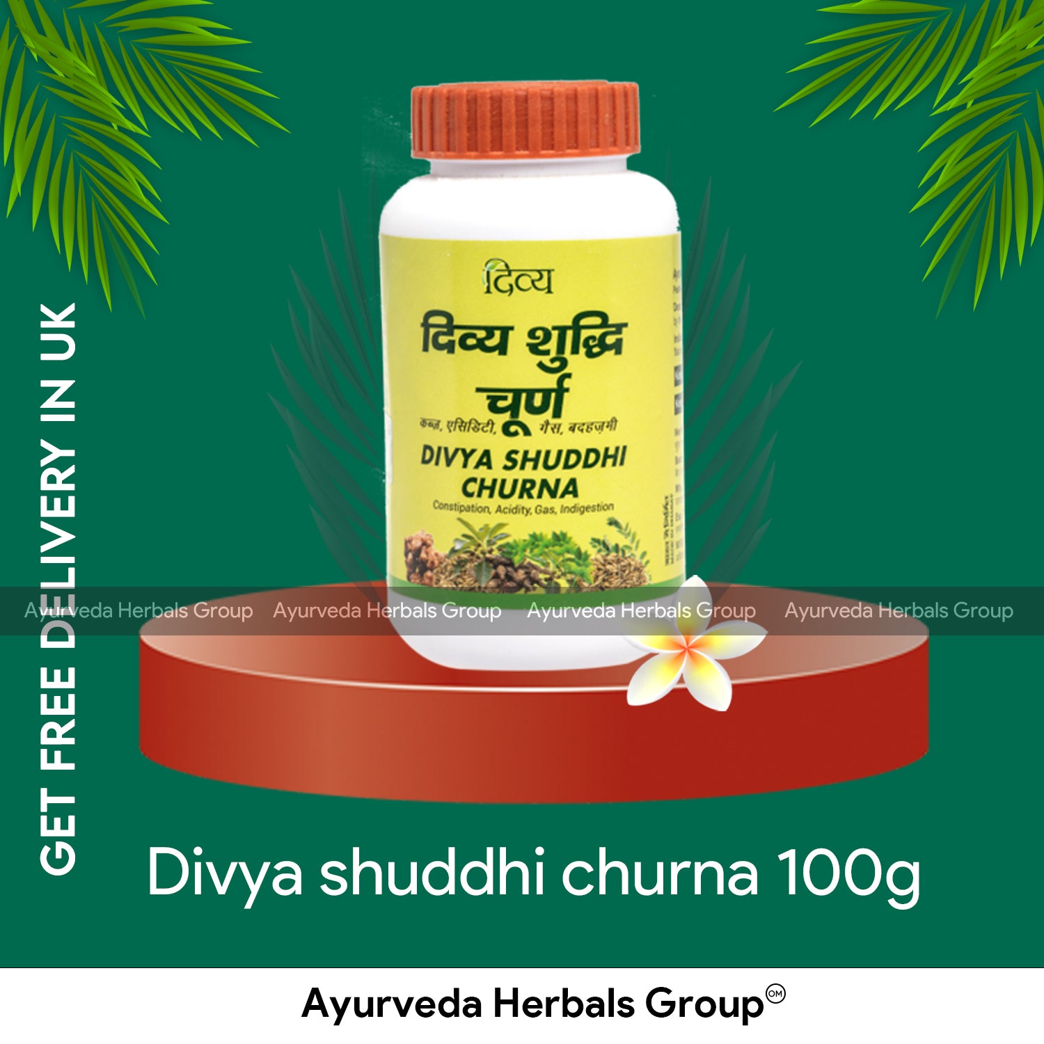 Patanjali Shuddhi Churna 100g