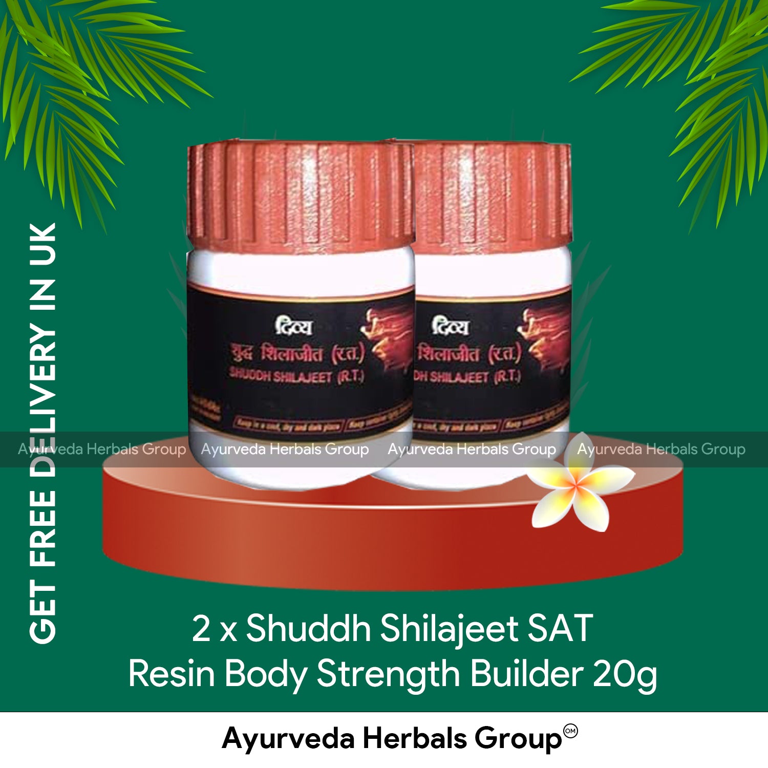 2 x Shuddh Shilajeet SAT Resin Body Strength Builder 20g