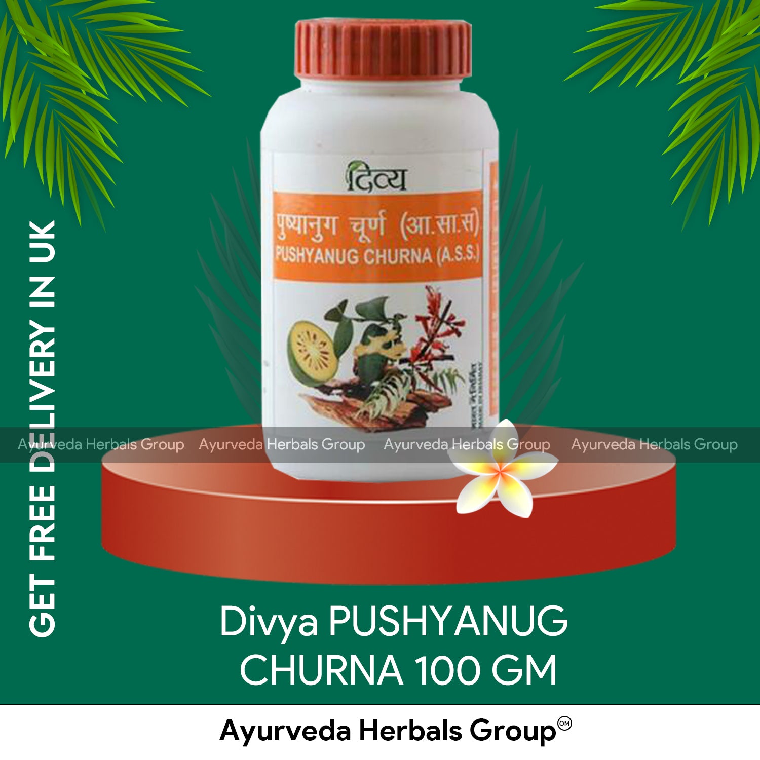 Patanjali Divya PUSHYANUG CHURNA 100 GM