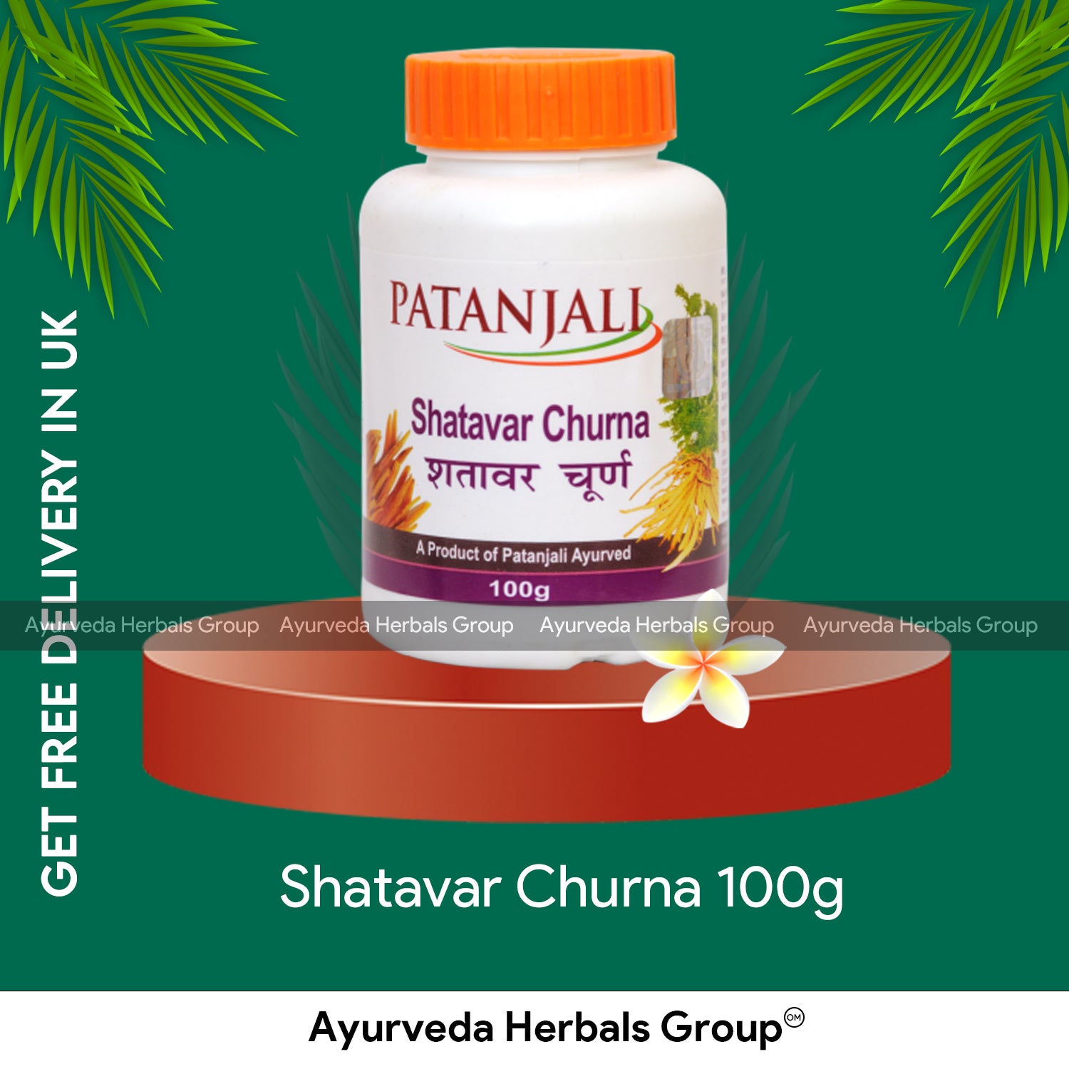 Patanjali Shatavar Churna 100g