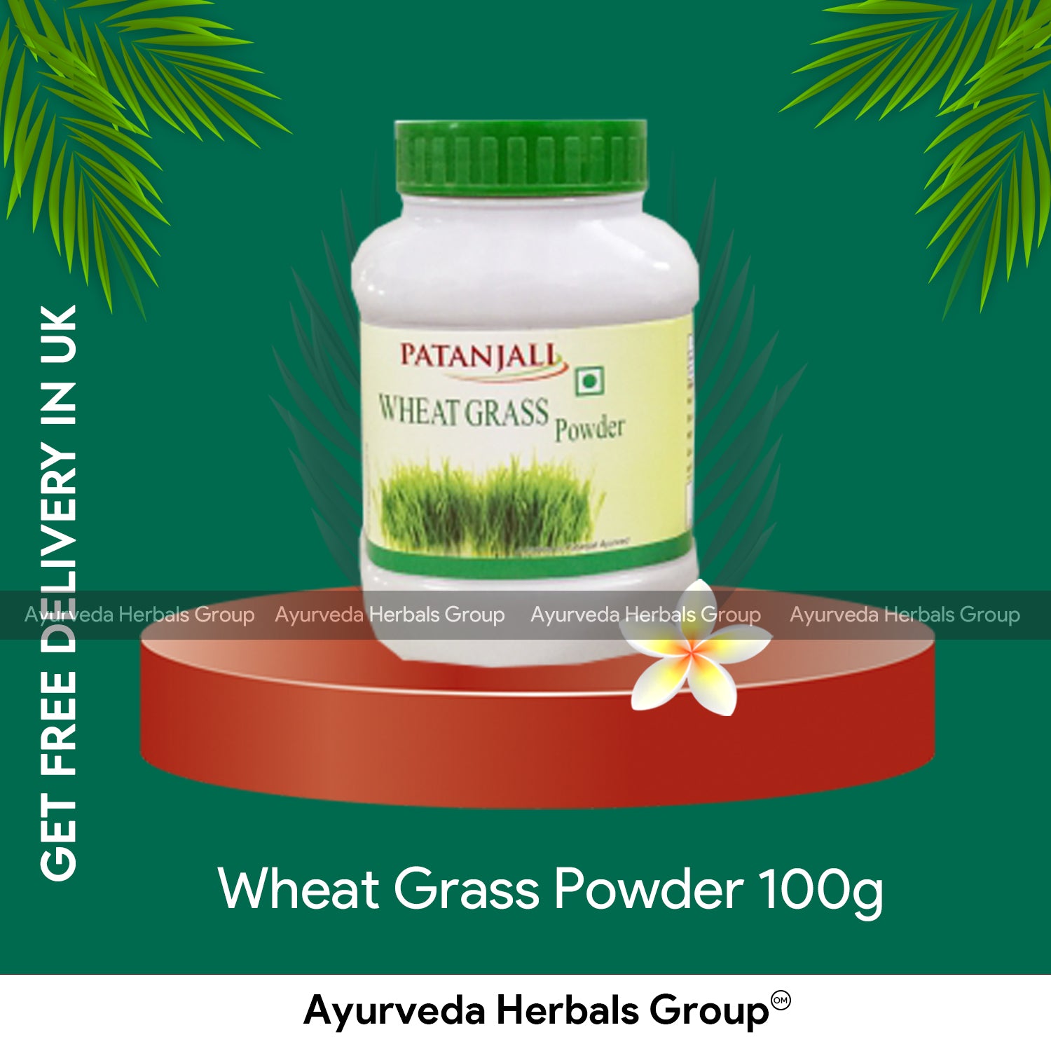 Patanjali Wheat Grass Powder 100g - Gluten Free